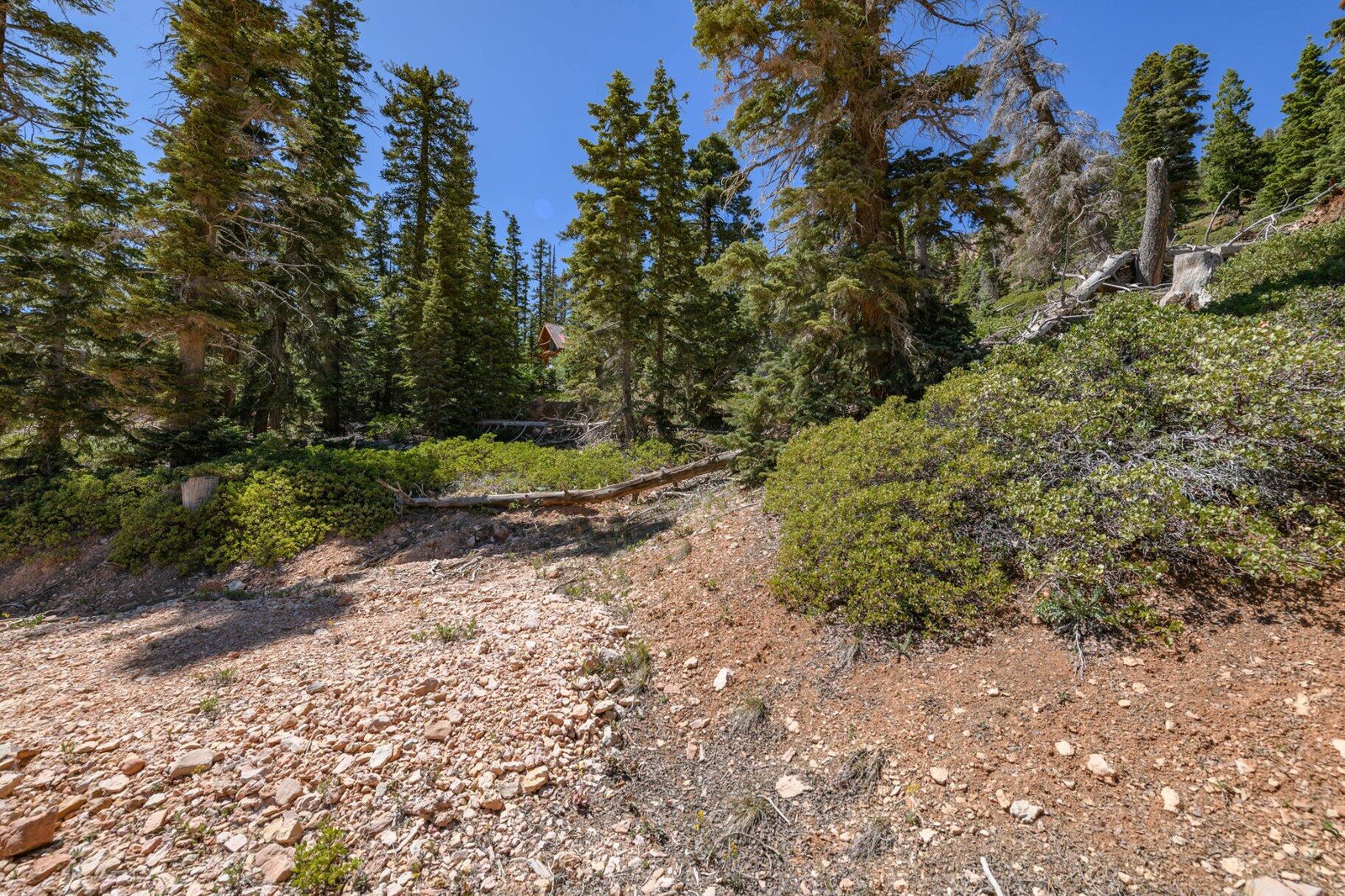 5150 W North Fork RD, Duck Creek Village, photo 15 of 149