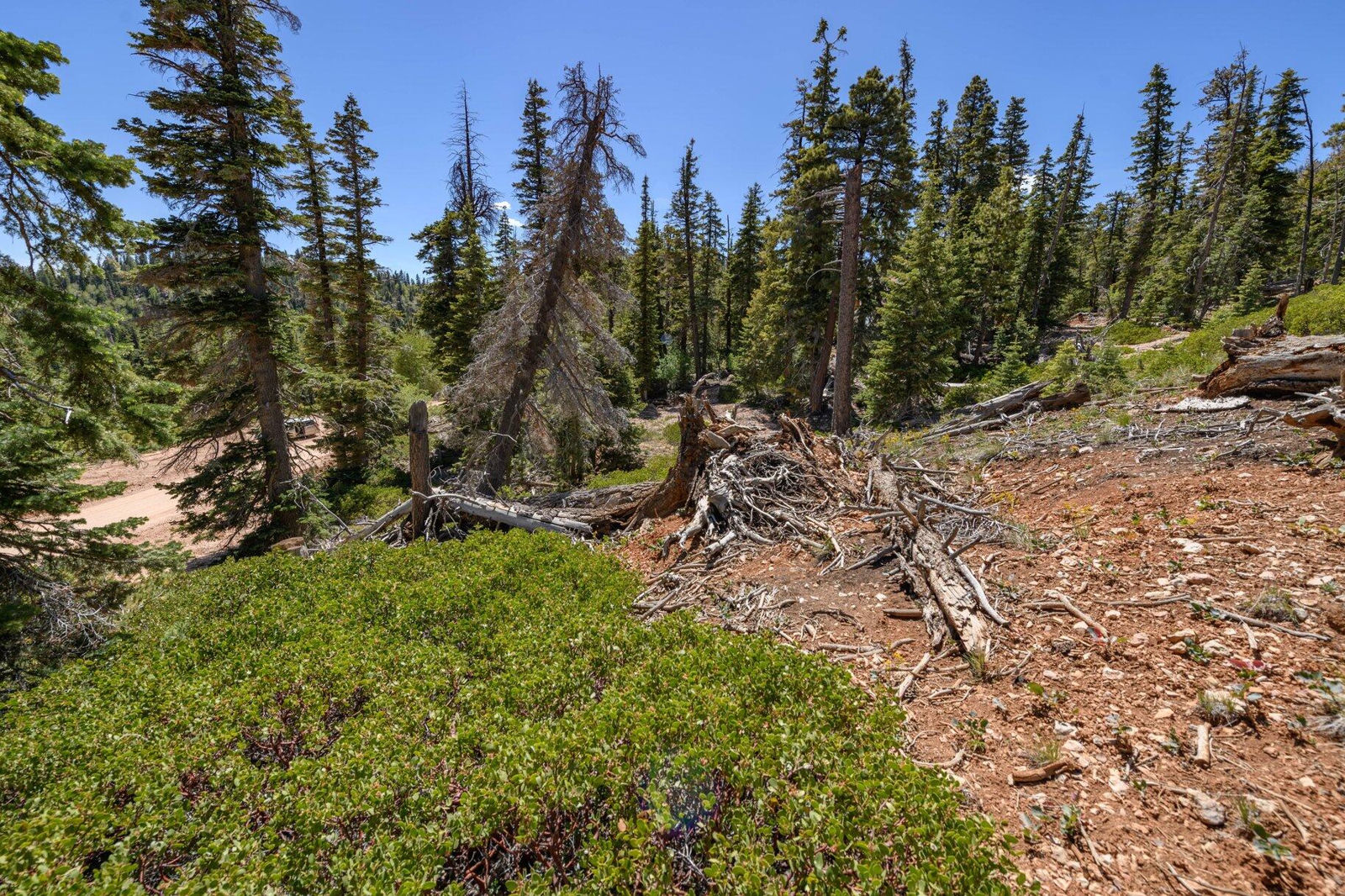 5150 W North Fork RD, Duck Creek Village, photo 16 of 149