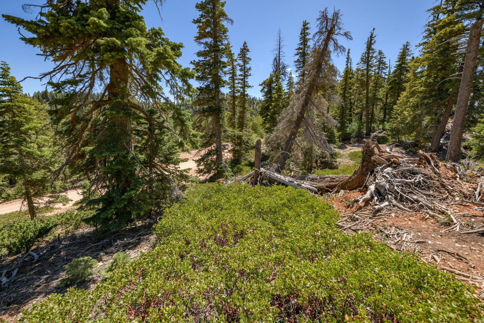 5150 W North Fork RD, Duck Creek Village, photo 17 of 149