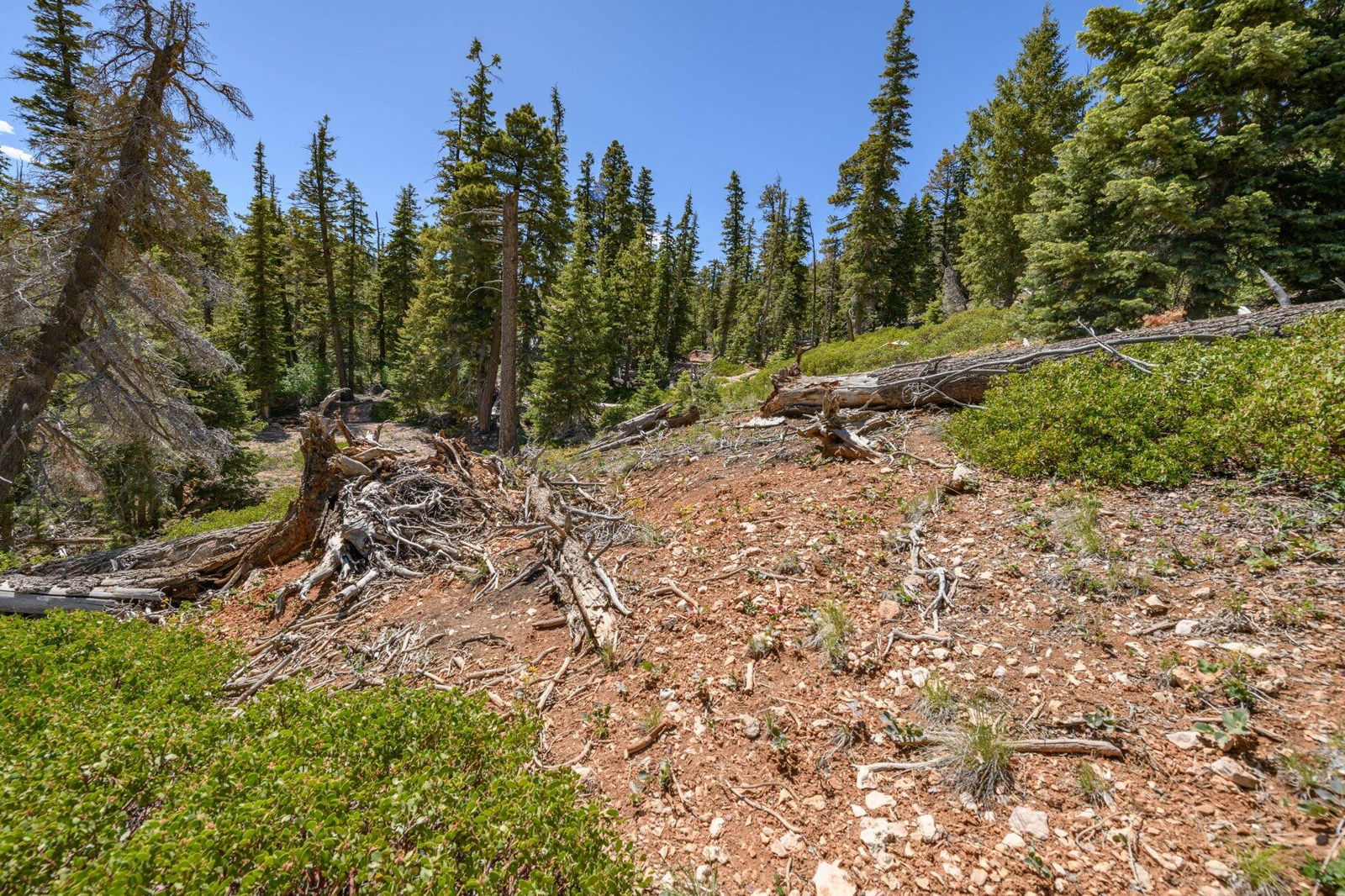 5150 W North Fork RD, Duck Creek Village, photo 18 of 149