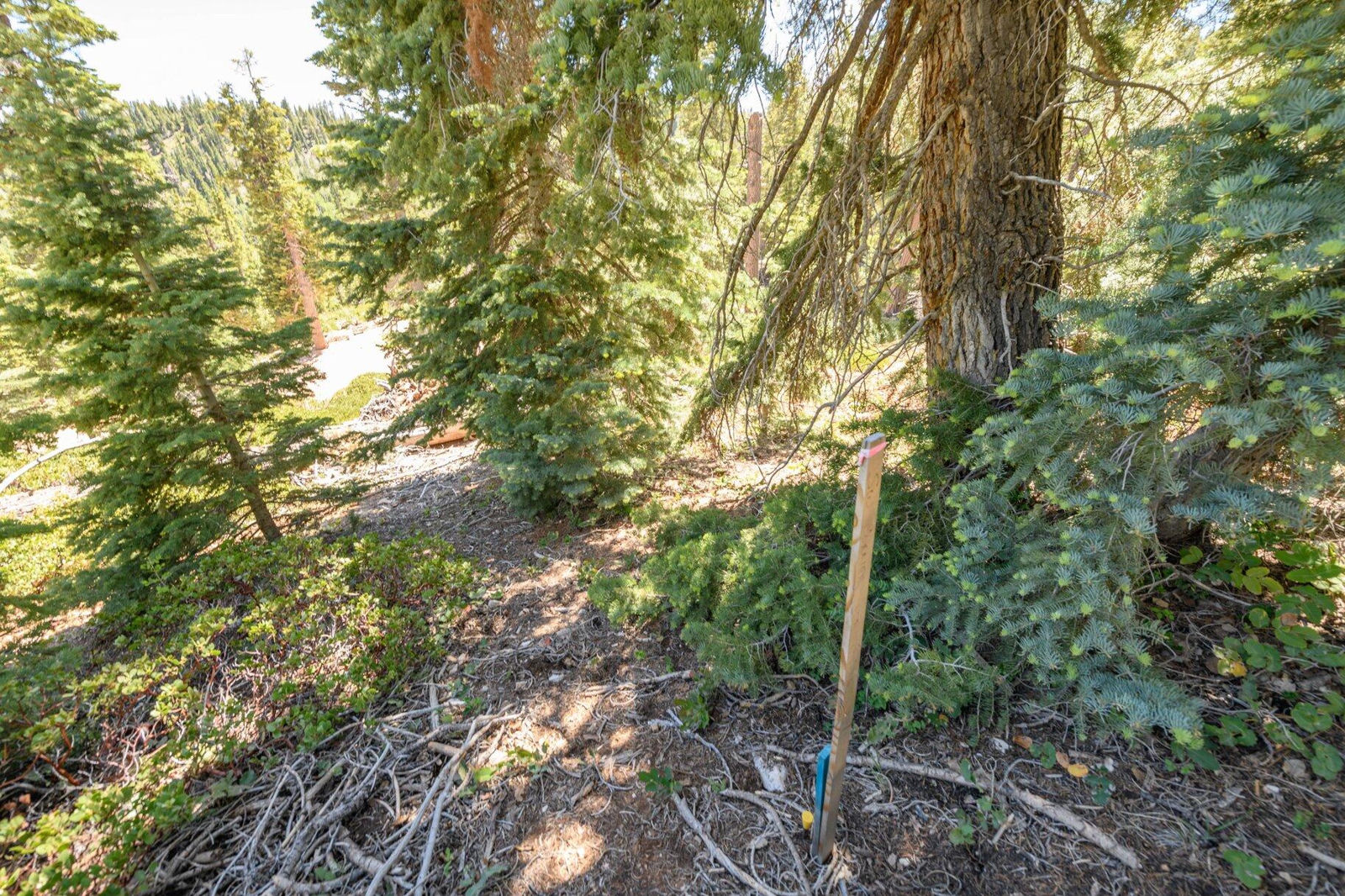 5150 W North Fork RD, Duck Creek Village, photo 19 of 149