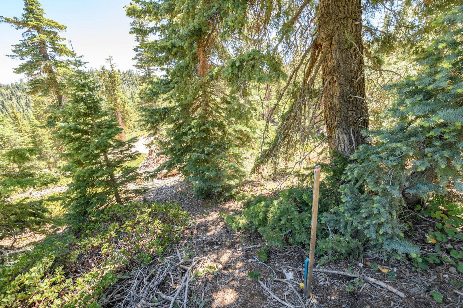 5150 W North Fork RD, Duck Creek Village, photo 20 of 149