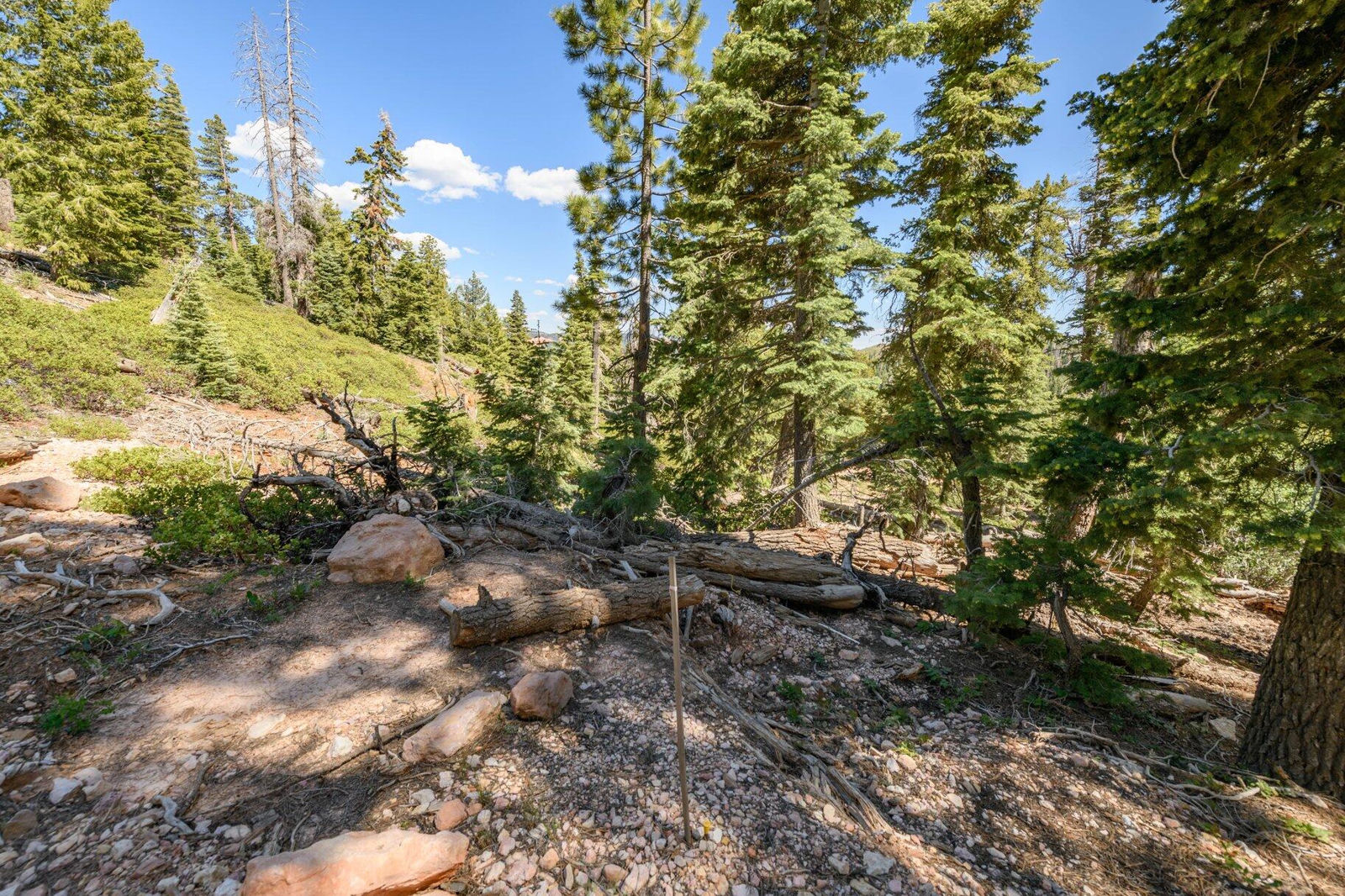 5150 W North Fork RD, Duck Creek Village, photo 23 of 149