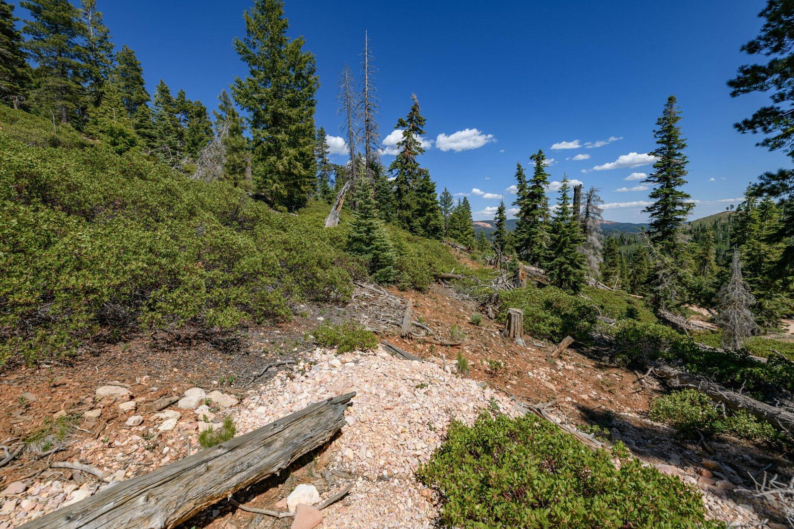 5150 W North Fork RD, Duck Creek Village, photo 25 of 149