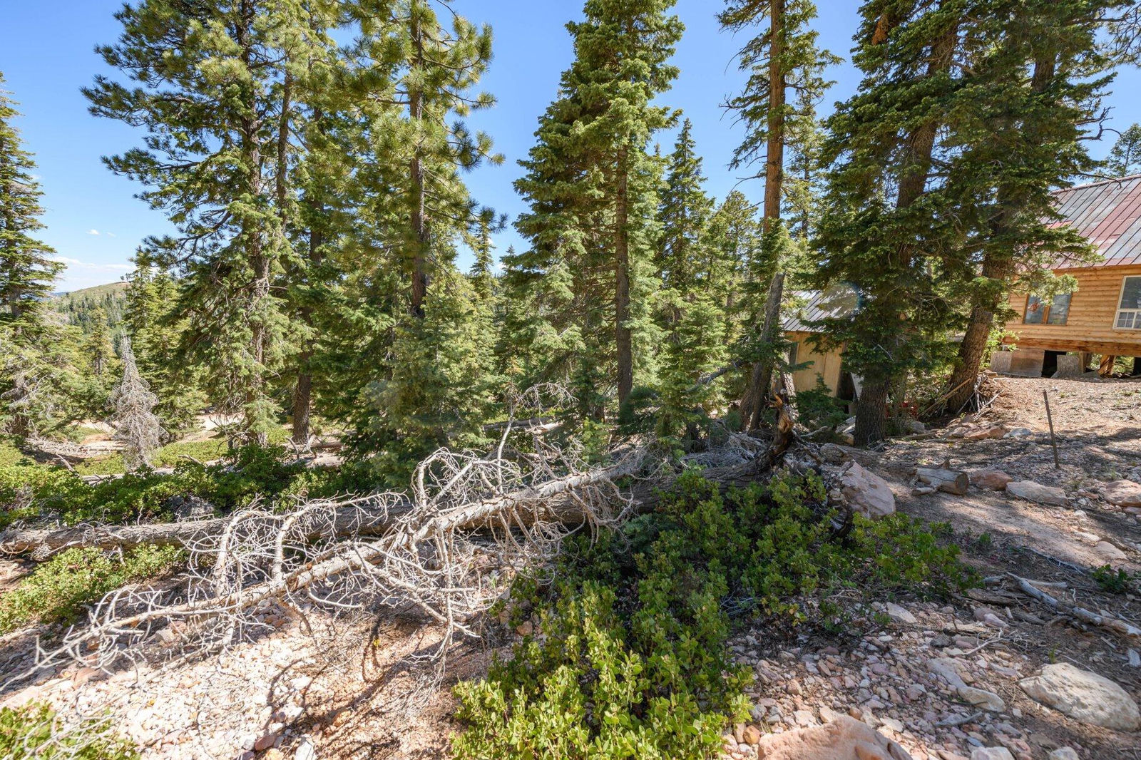 5150 W North Fork RD, Duck Creek Village, photo 26 of 149