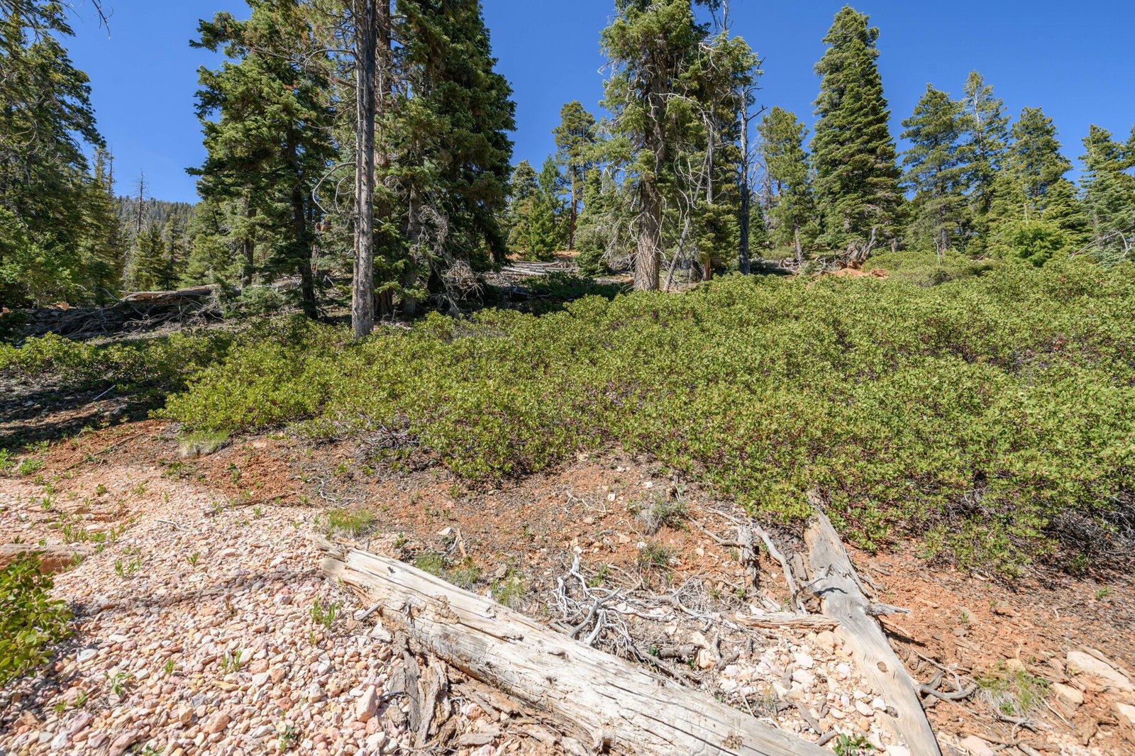5150 W North Fork RD, Duck Creek Village, photo 27 of 149