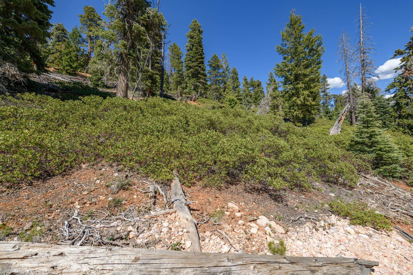 5150 W North Fork RD, Duck Creek Village, photo 28 of 149