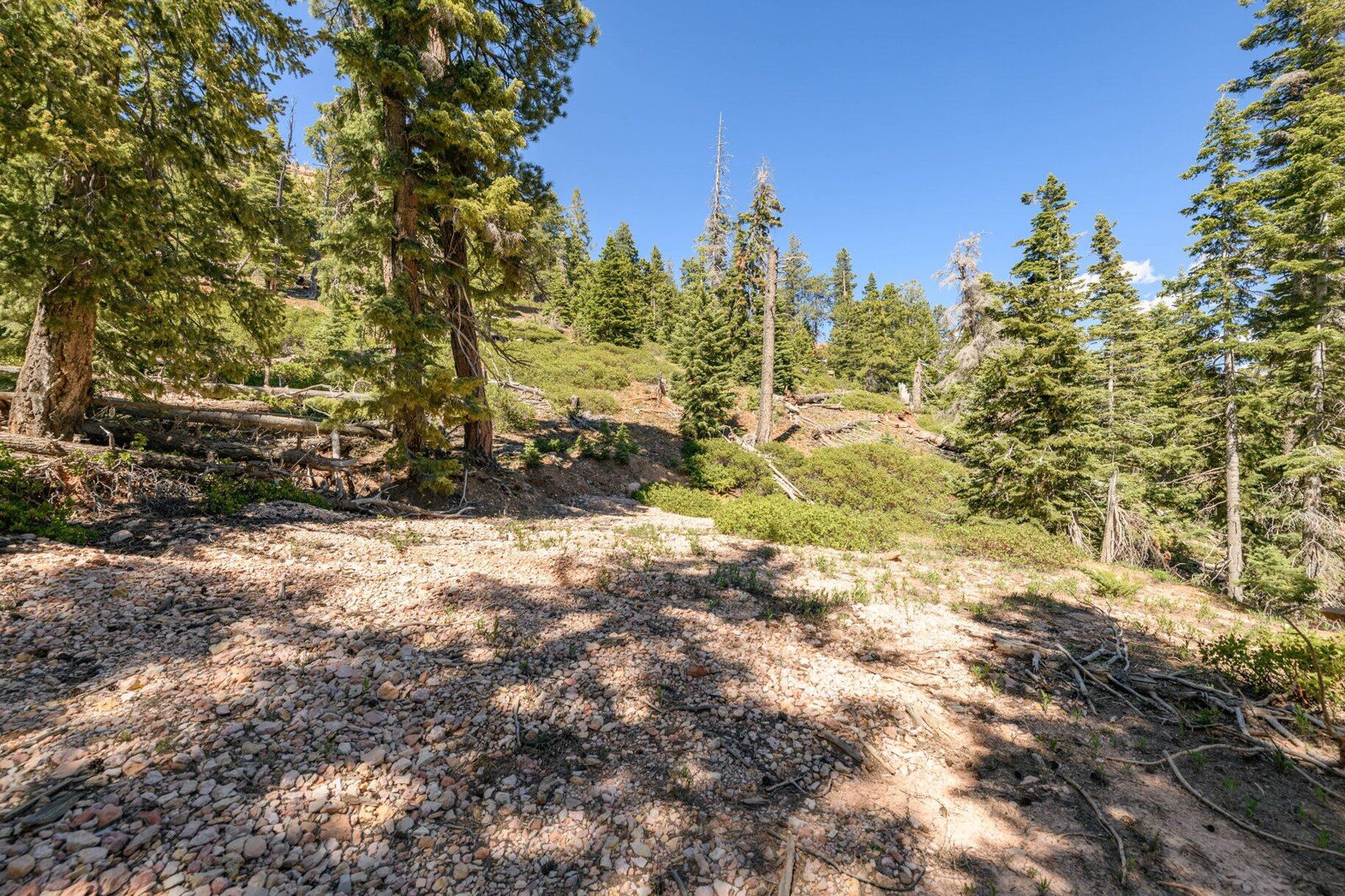 5150 W North Fork RD, Duck Creek Village, photo 29 of 149