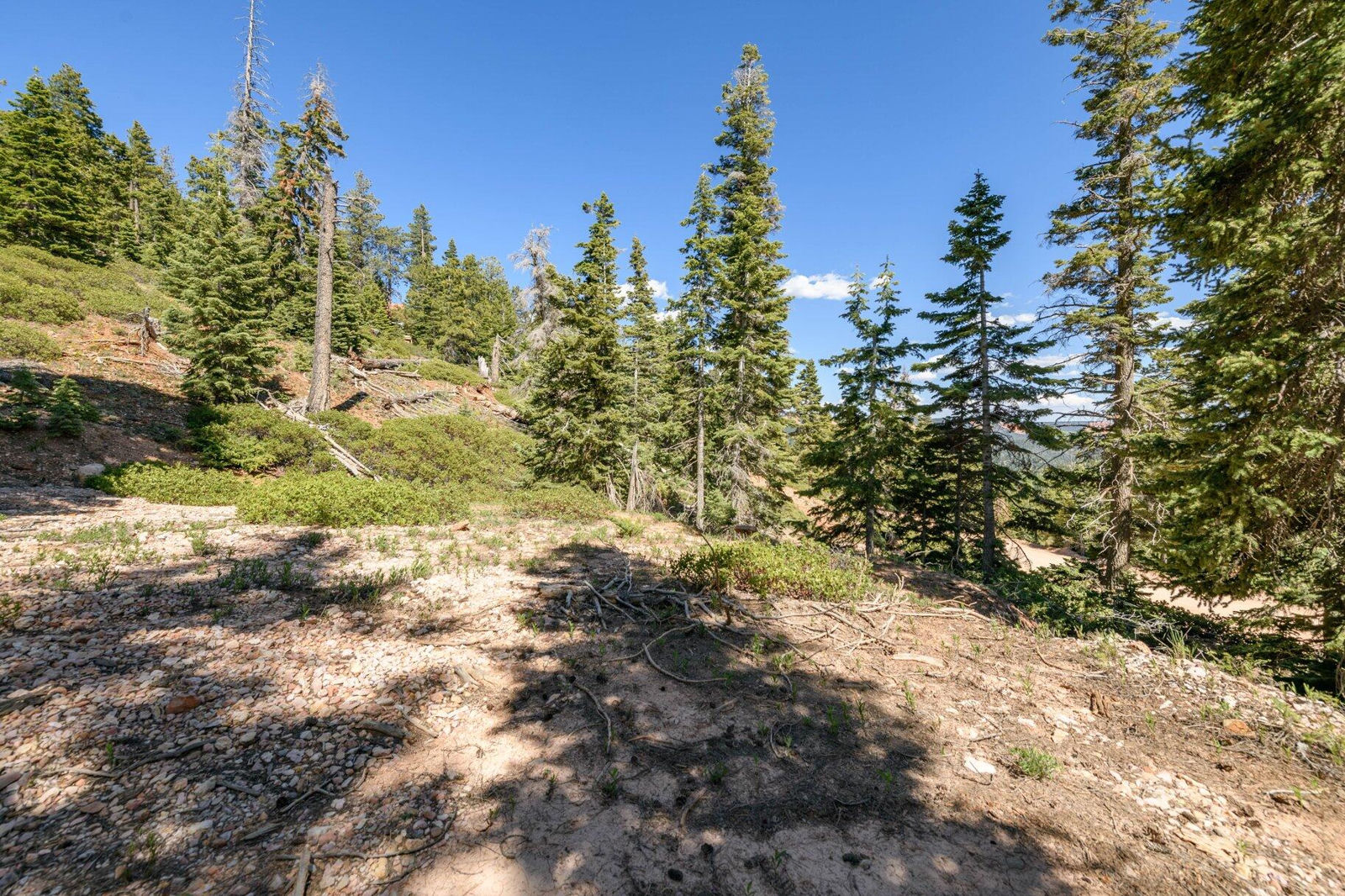 5150 W North Fork RD, Duck Creek Village, photo 30 of 149