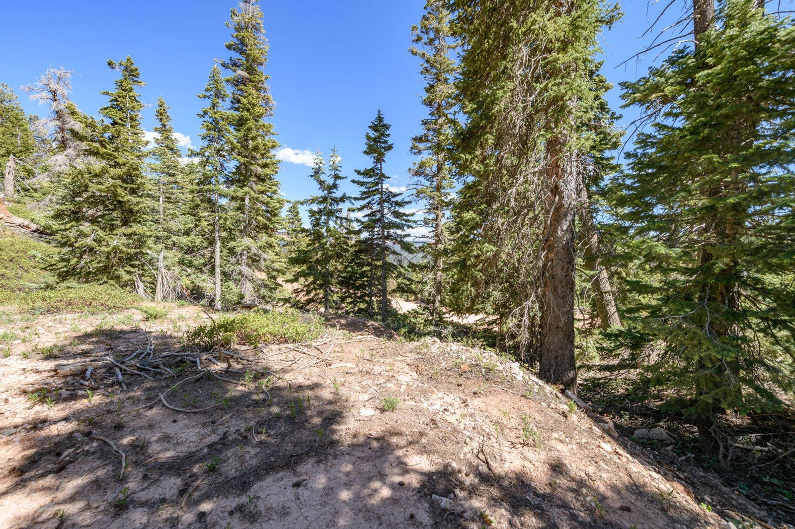 5150 W North Fork RD, Duck Creek Village, photo 31 of 149