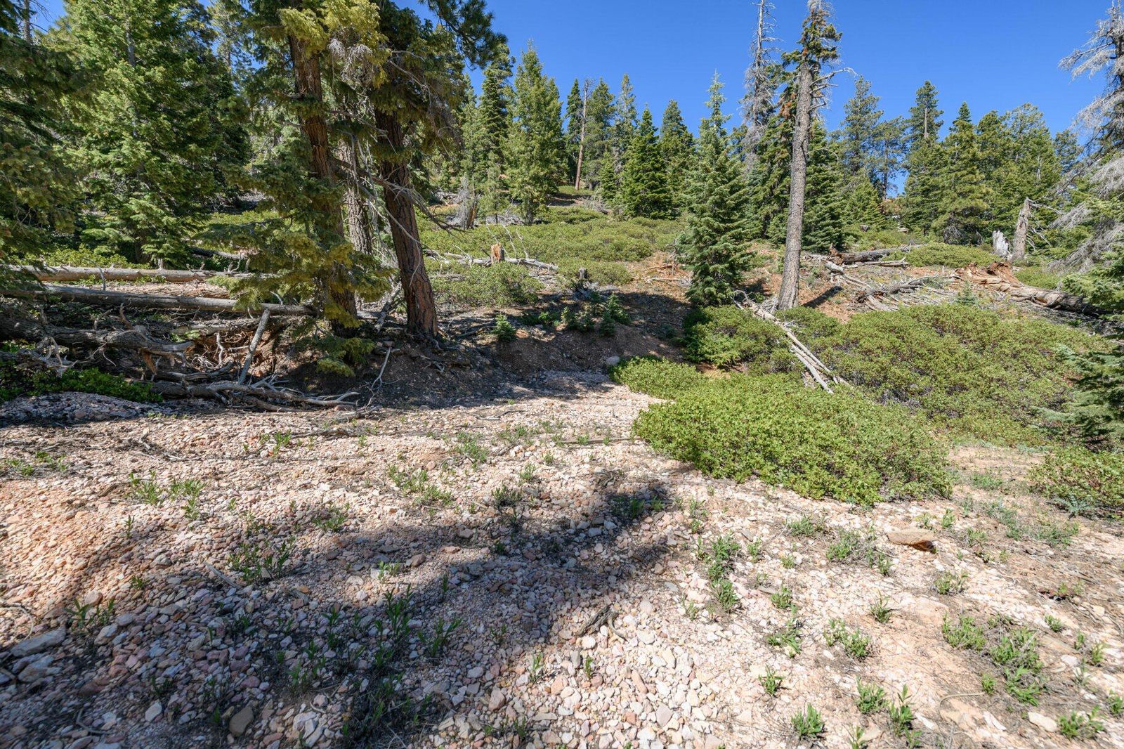 5150 W North Fork RD, Duck Creek Village, photo 32 of 149