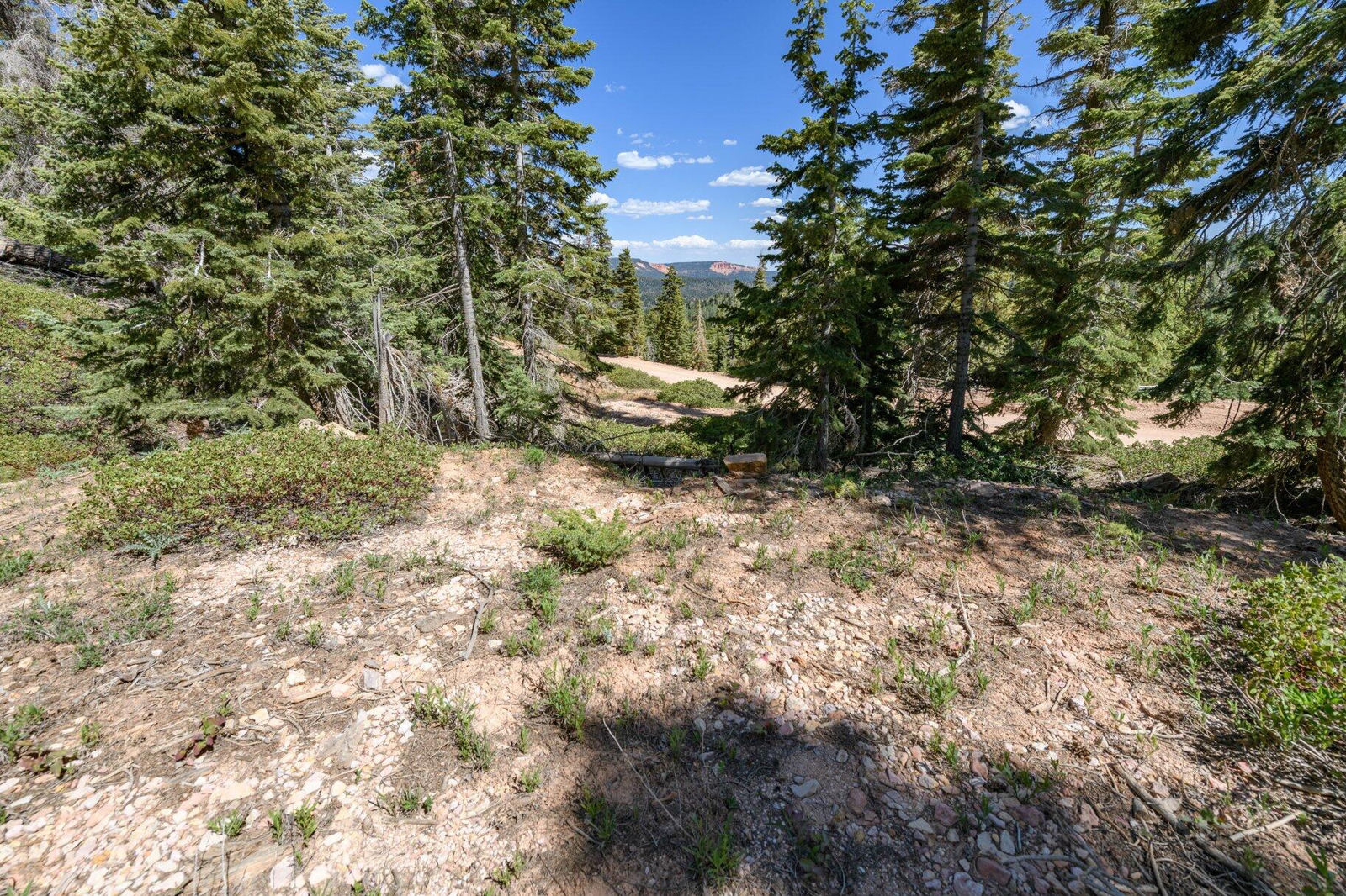 5150 W North Fork RD, Duck Creek Village, photo 33 of 149