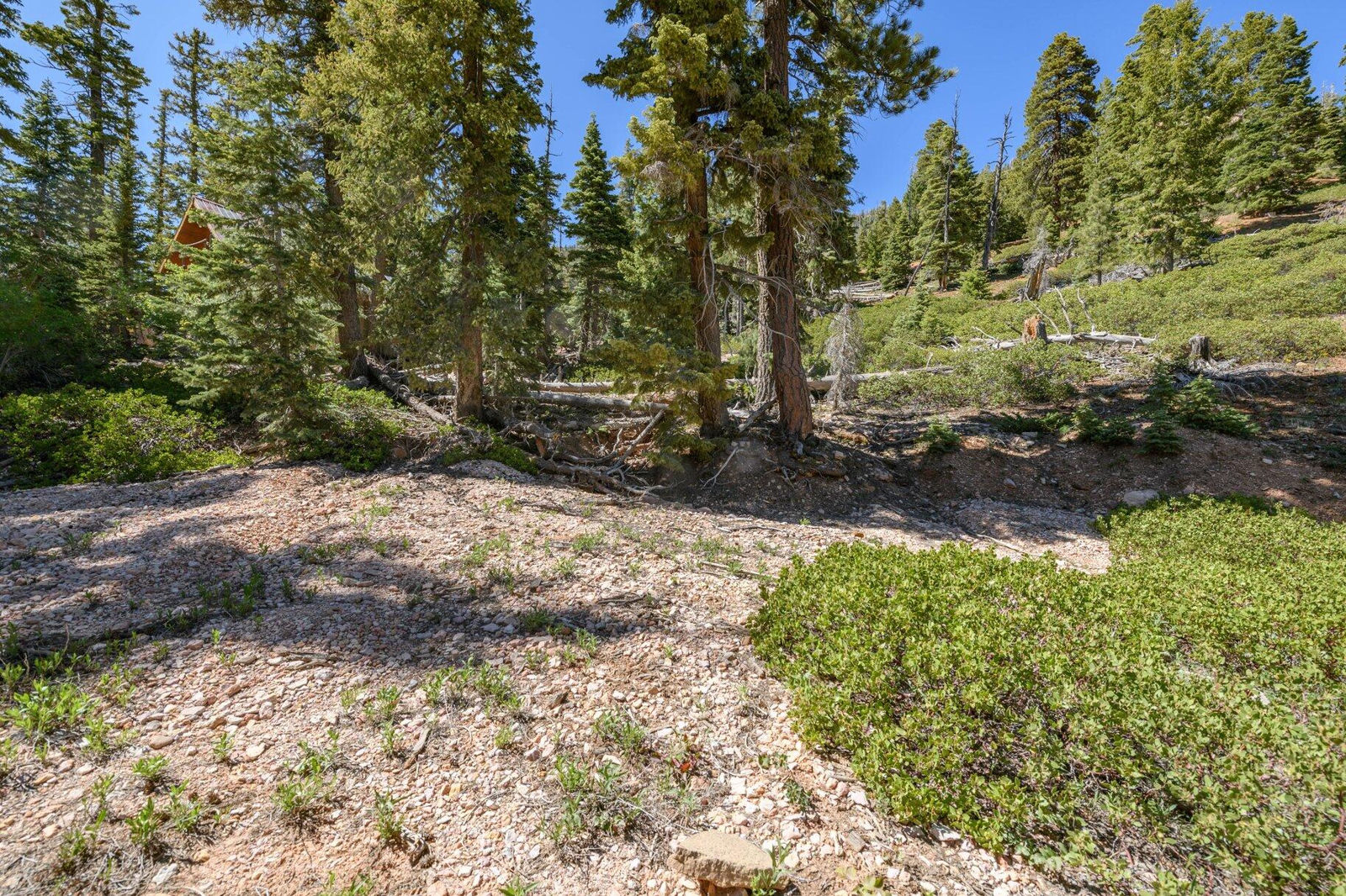 5150 W North Fork RD, Duck Creek Village, photo 34 of 149
