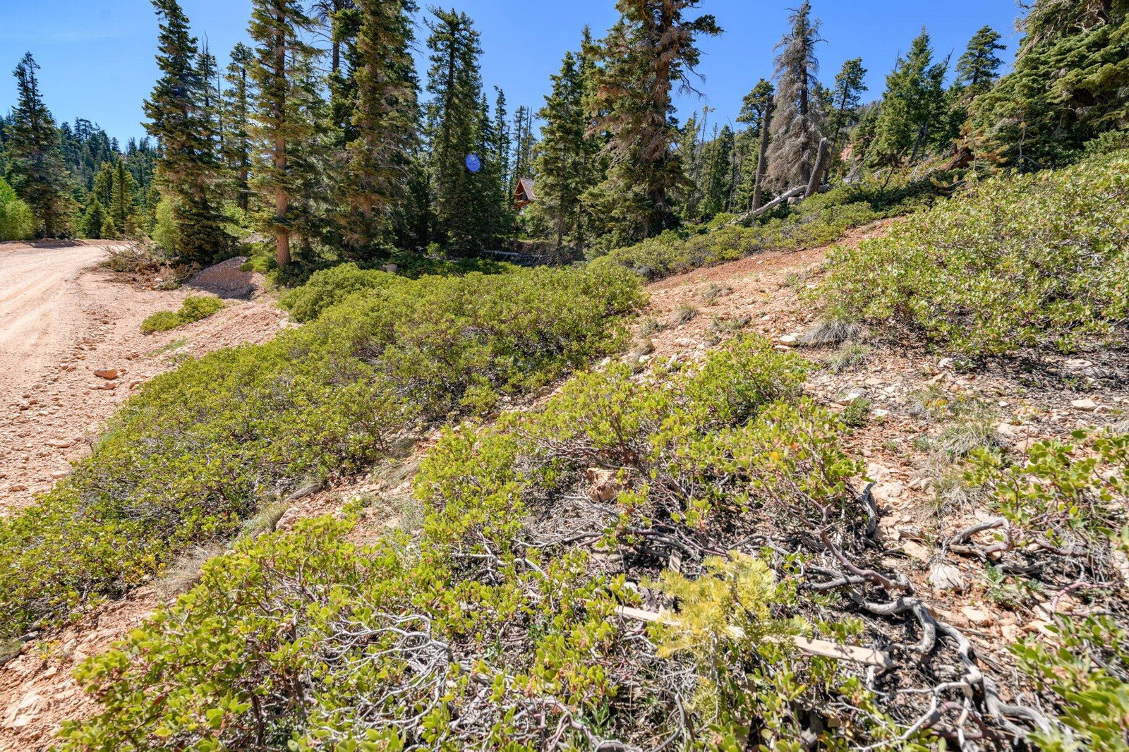 5150 W North Fork RD, Duck Creek Village, photo 36 of 149