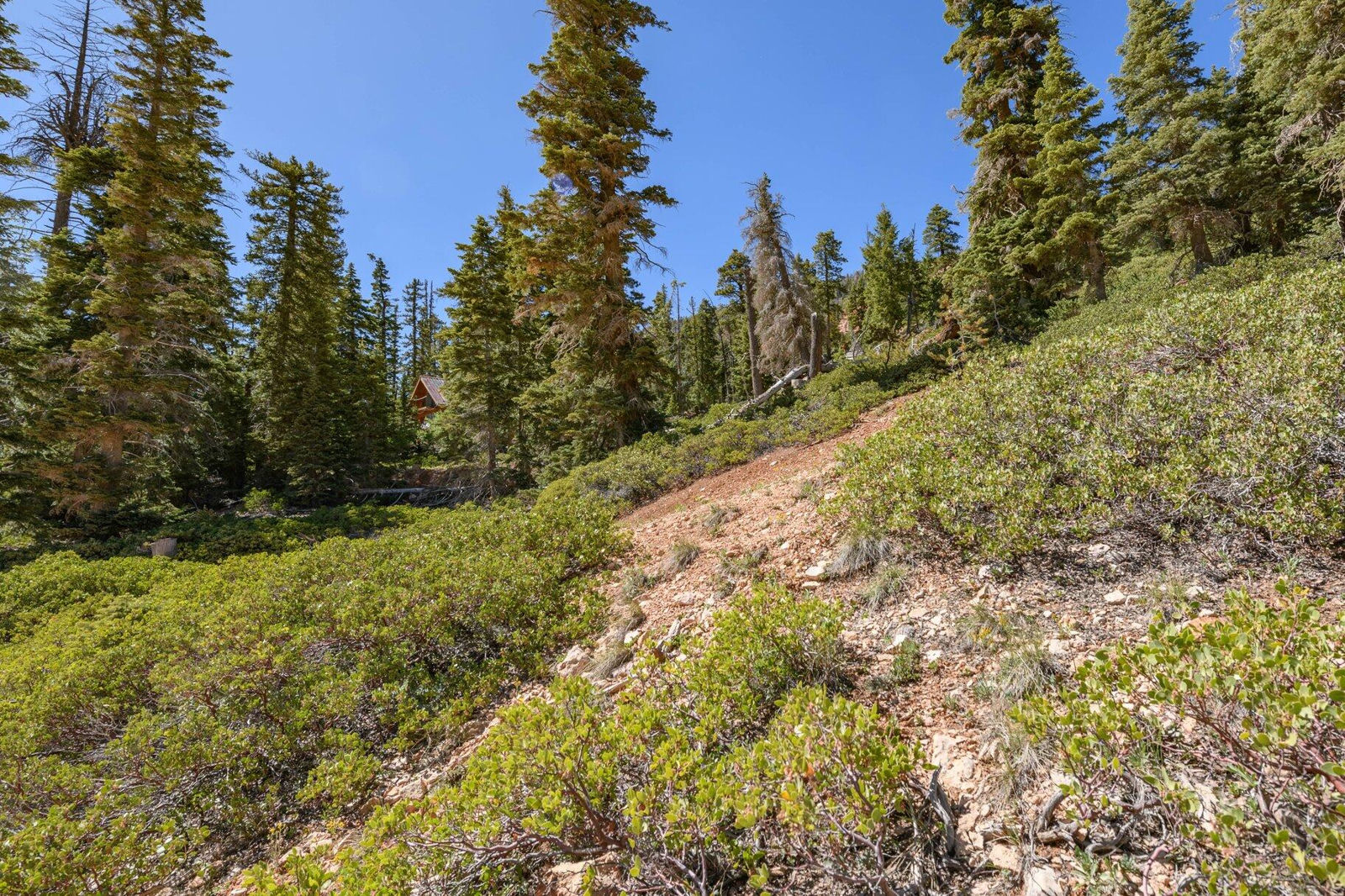 5150 W North Fork RD, Duck Creek Village, photo 37 of 149