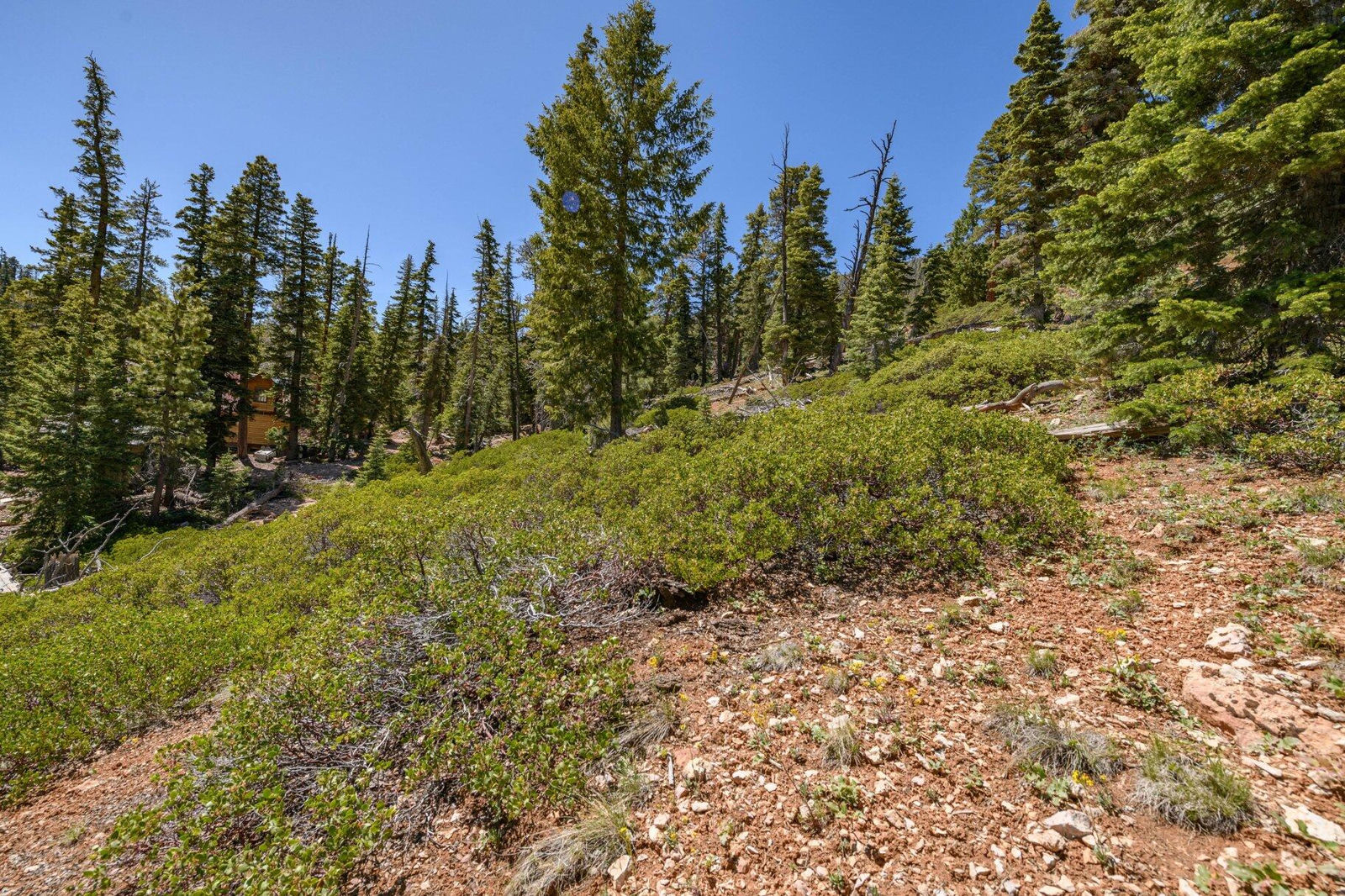 5150 W North Fork RD, Duck Creek Village, photo 49 of 149
