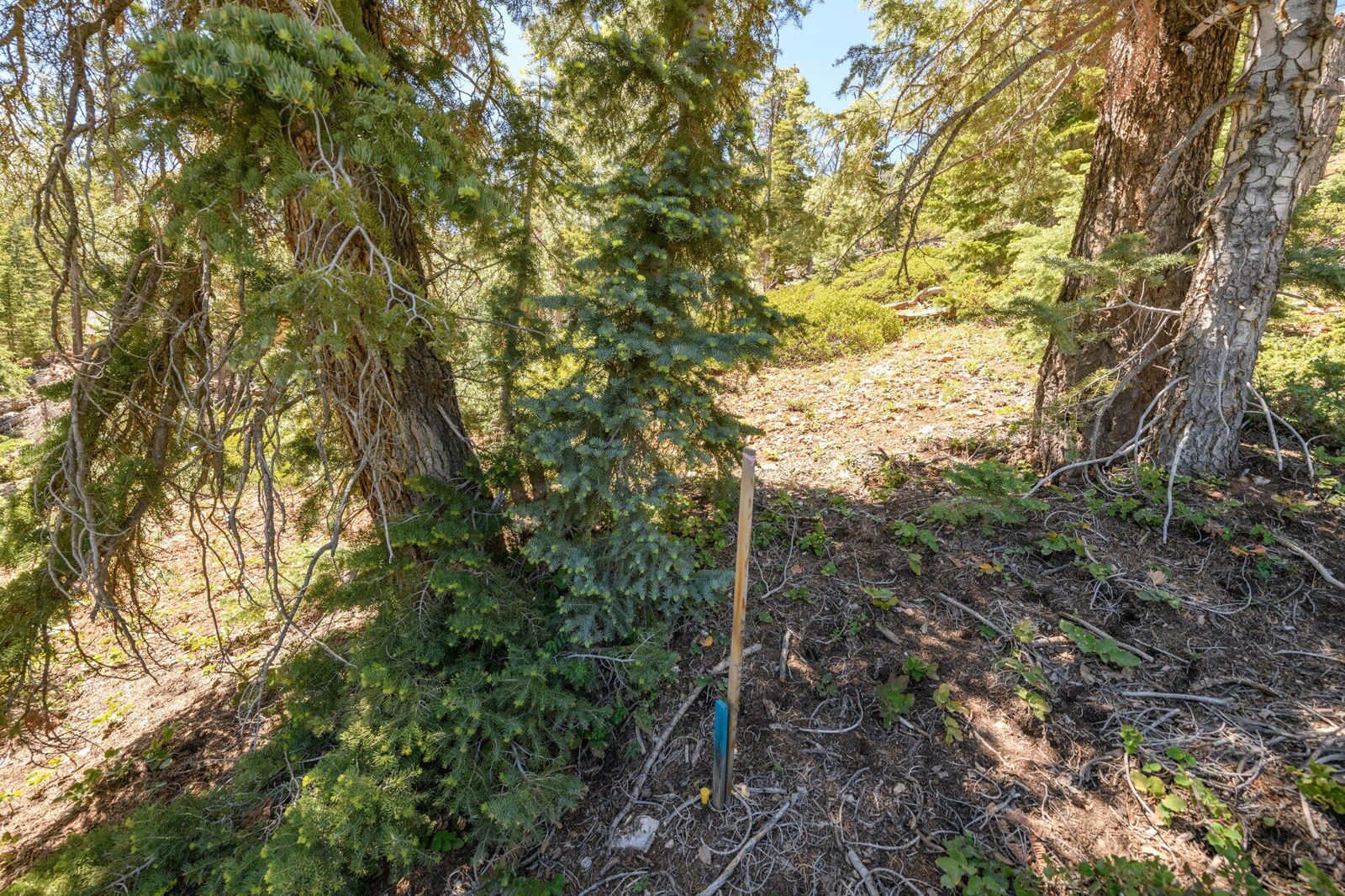 5150 W North Fork RD, Duck Creek Village, photo 51 of 149