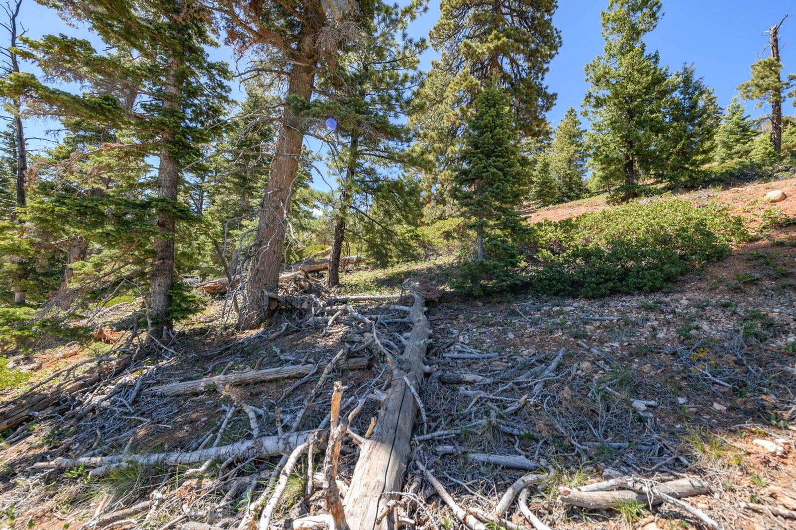 5150 W North Fork RD, Duck Creek Village, photo 54 of 149