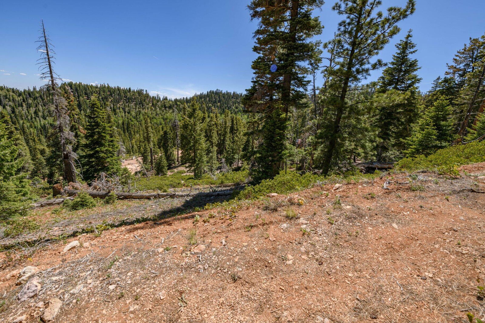 5150 W North Fork RD, Duck Creek Village, photo 57 of 149