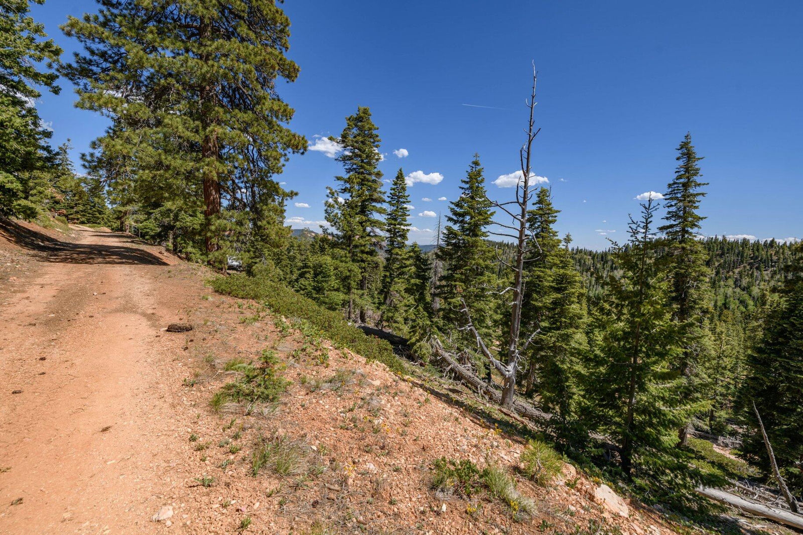 5150 W North Fork RD, Duck Creek Village, photo 58 of 149