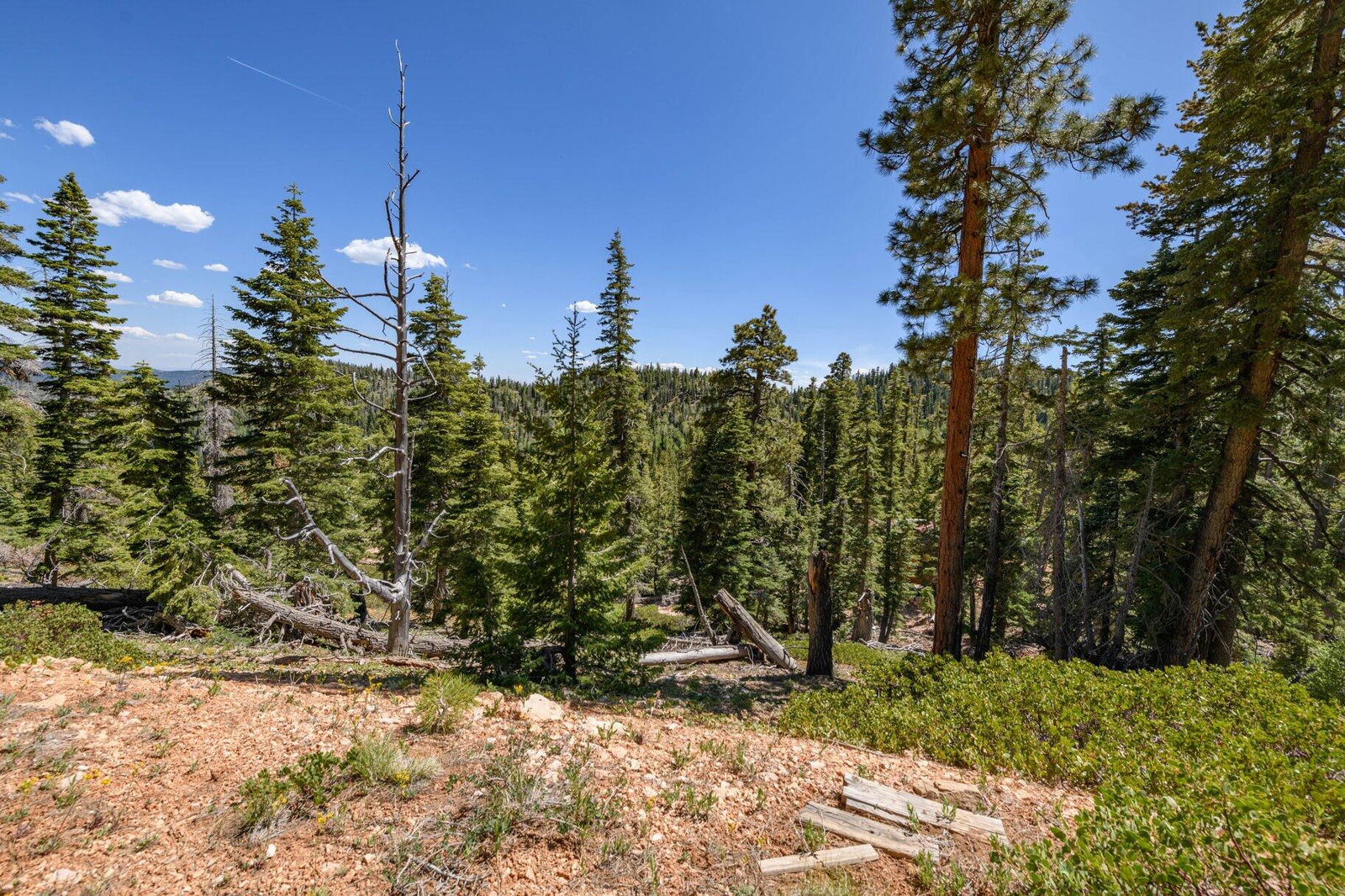 5150 W North Fork RD, Duck Creek Village, photo 59 of 149
