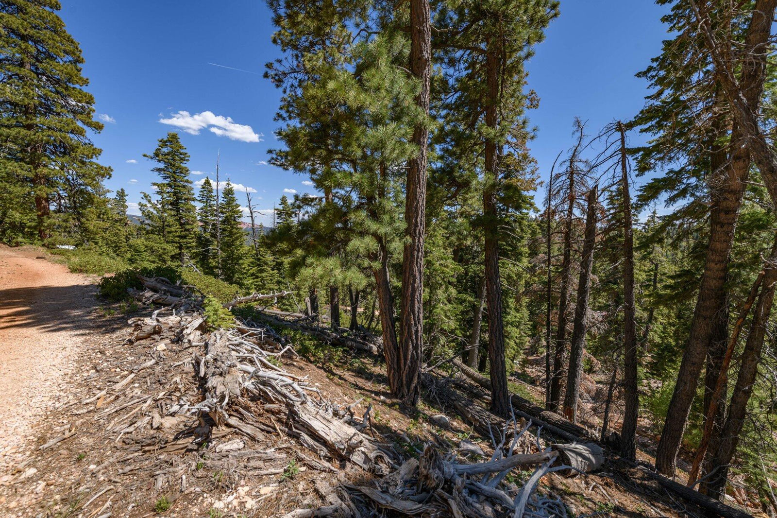 5150 W North Fork RD, Duck Creek Village, photo 61 of 149