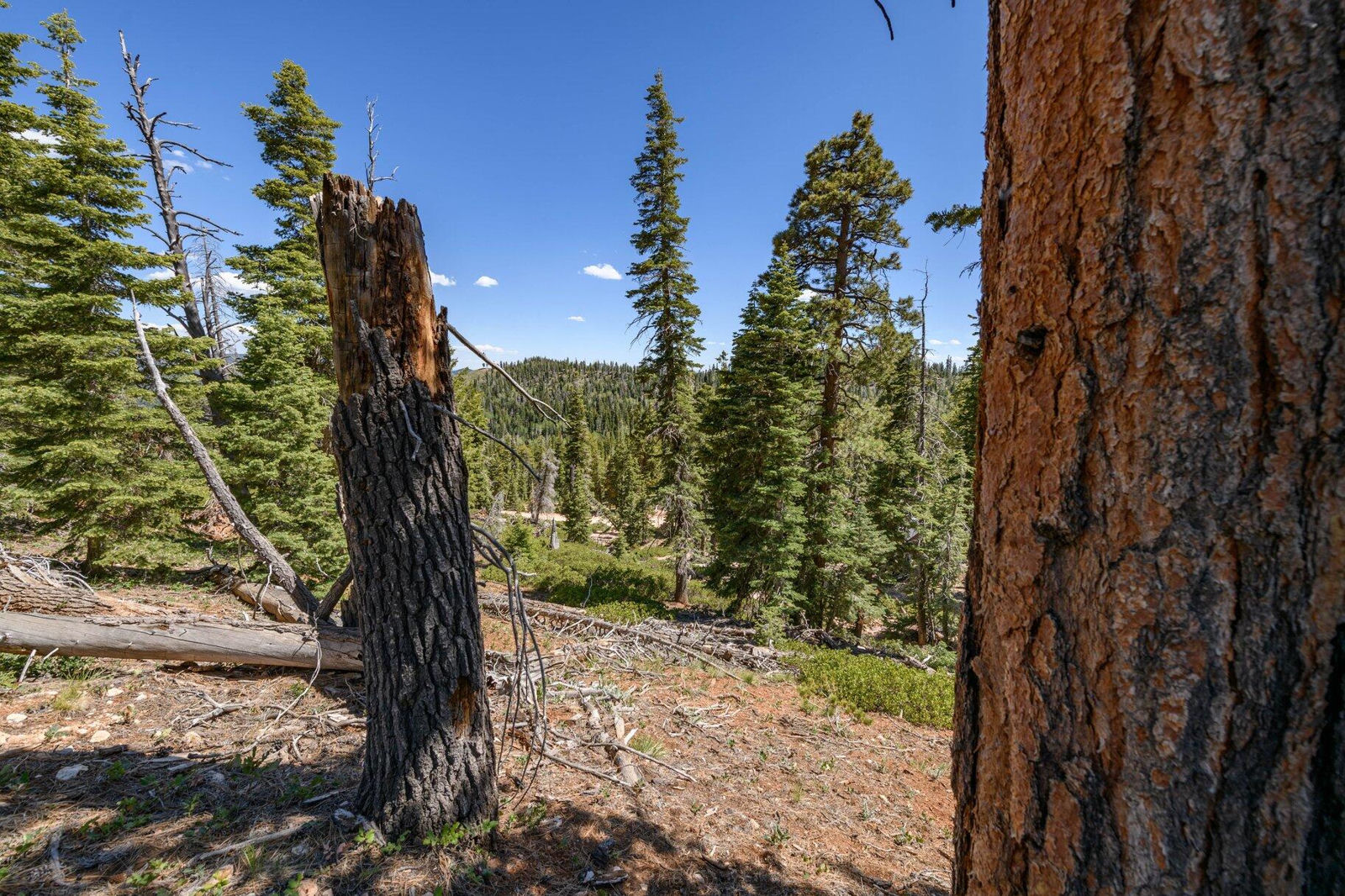 5150 W North Fork RD, Duck Creek Village, photo 63 of 149
