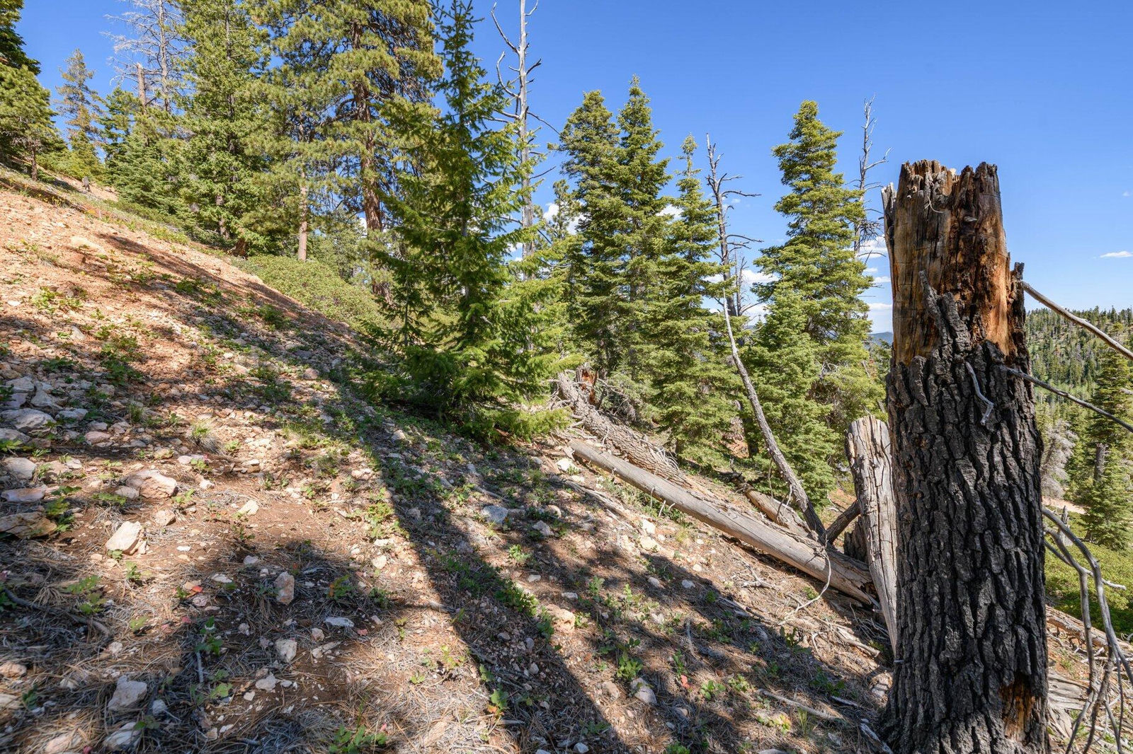 5150 W North Fork RD, Duck Creek Village, photo 64 of 149