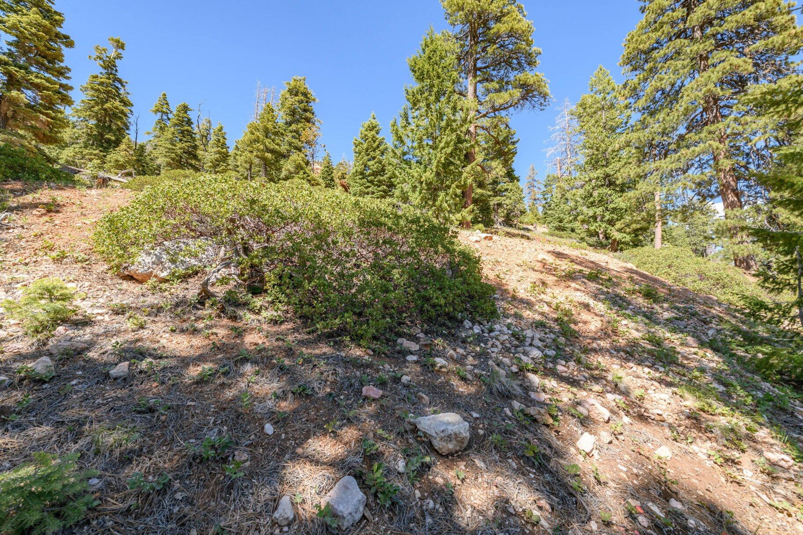 5150 W North Fork RD, Duck Creek Village, photo 65 of 149