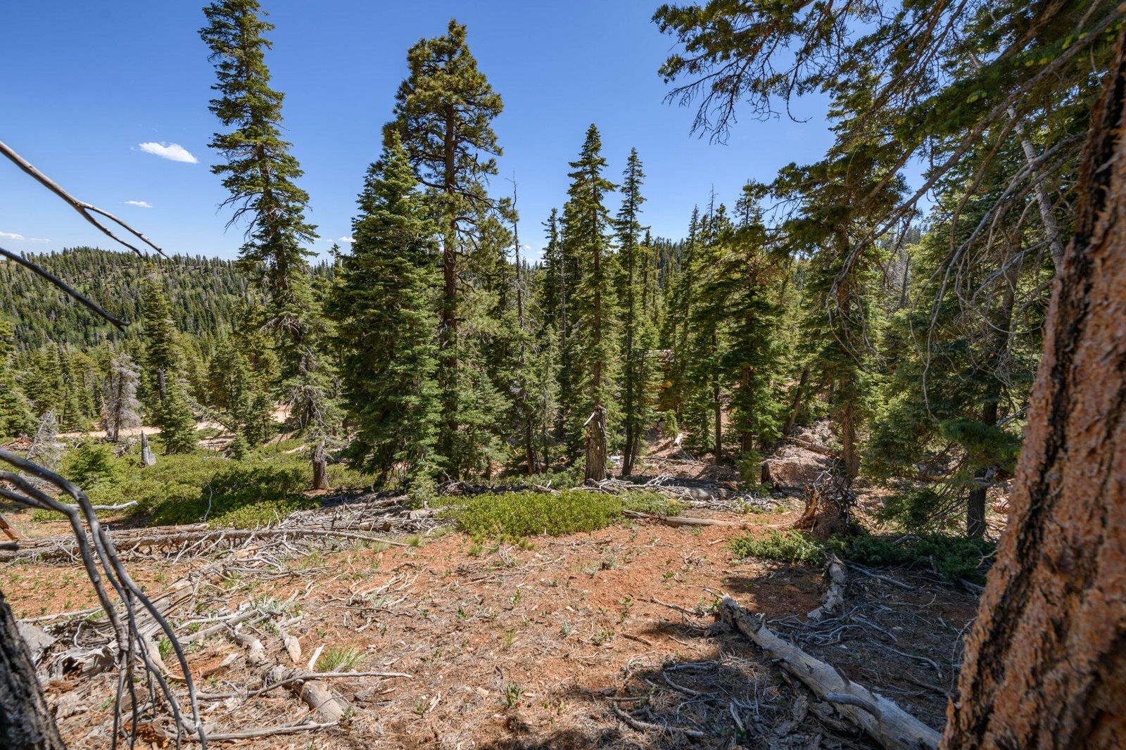 5150 W North Fork RD, Duck Creek Village, photo 66 of 149