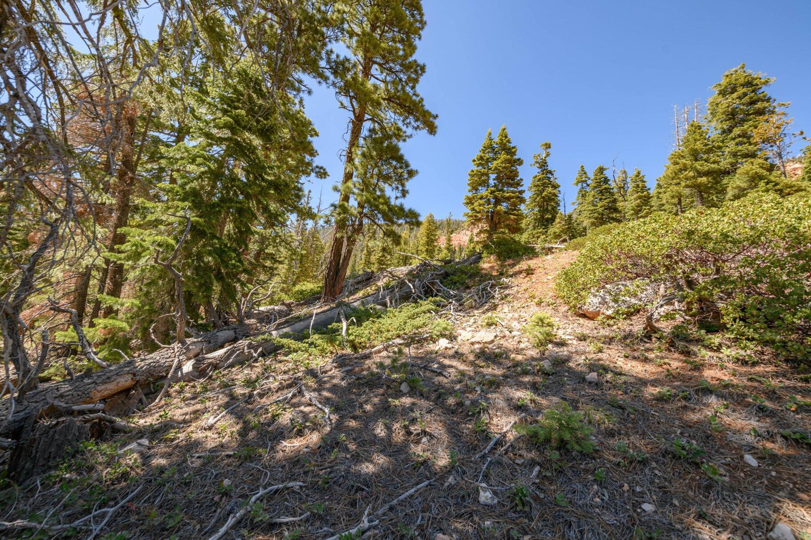 5150 W North Fork RD, Duck Creek Village, photo 67 of 149