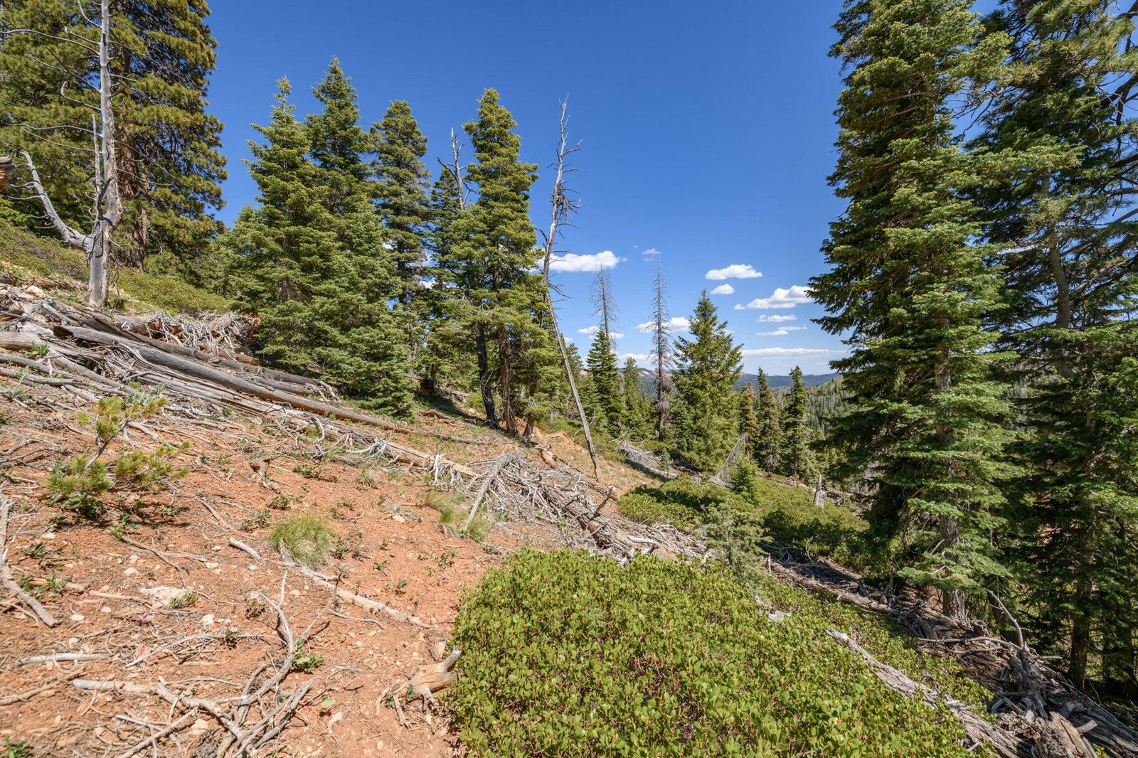 5150 W North Fork RD, Duck Creek Village, photo 69 of 149