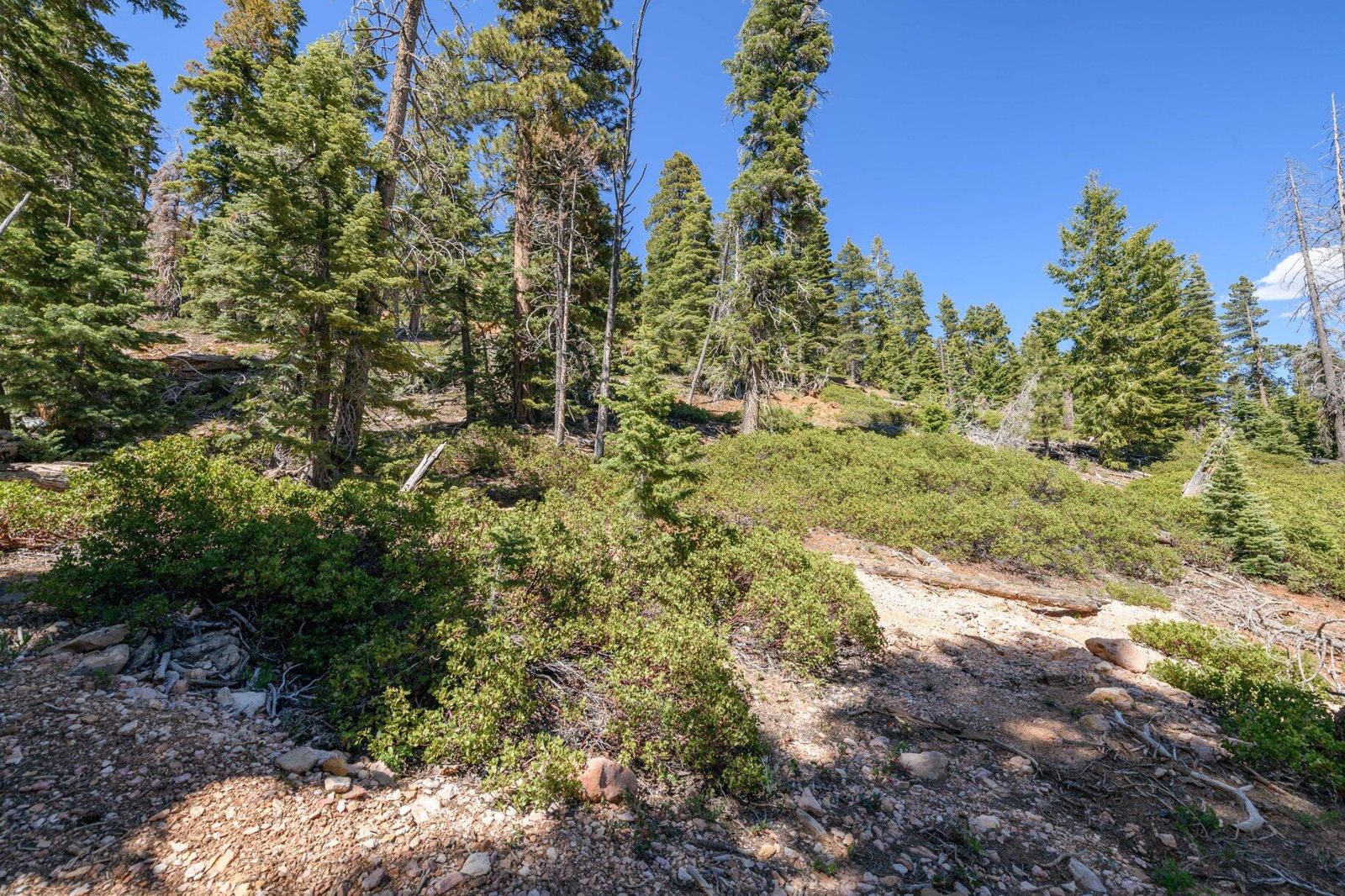 5150 W North Fork RD, Duck Creek Village, photo 71 of 149