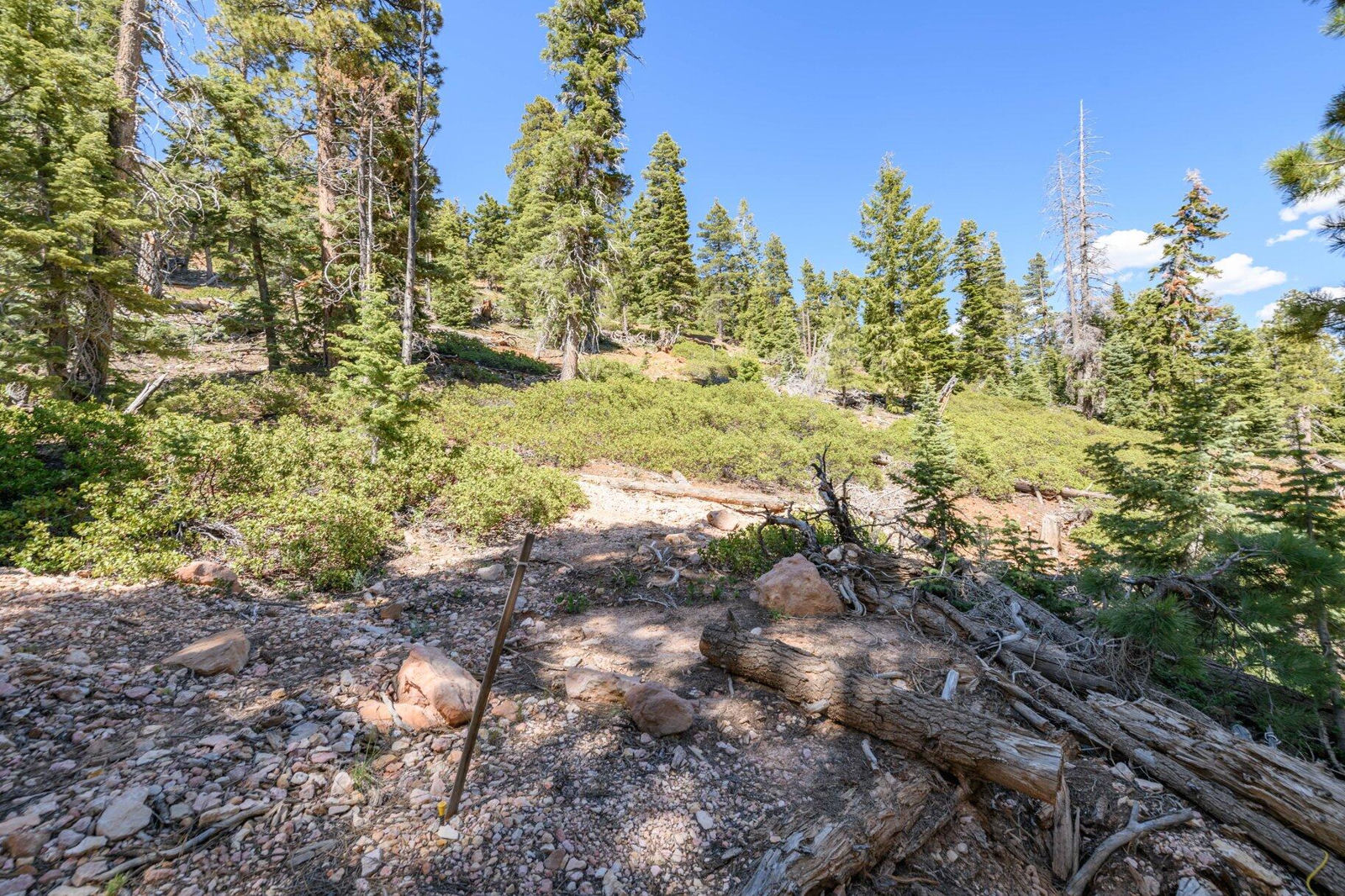 5150 W North Fork RD, Duck Creek Village, photo 73 of 149