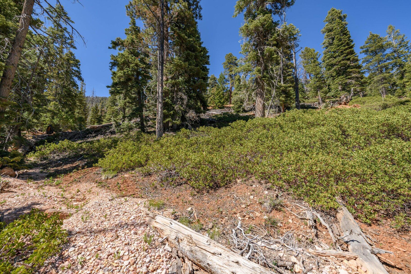 5150 W North Fork RD, Duck Creek Village, photo 75 of 149