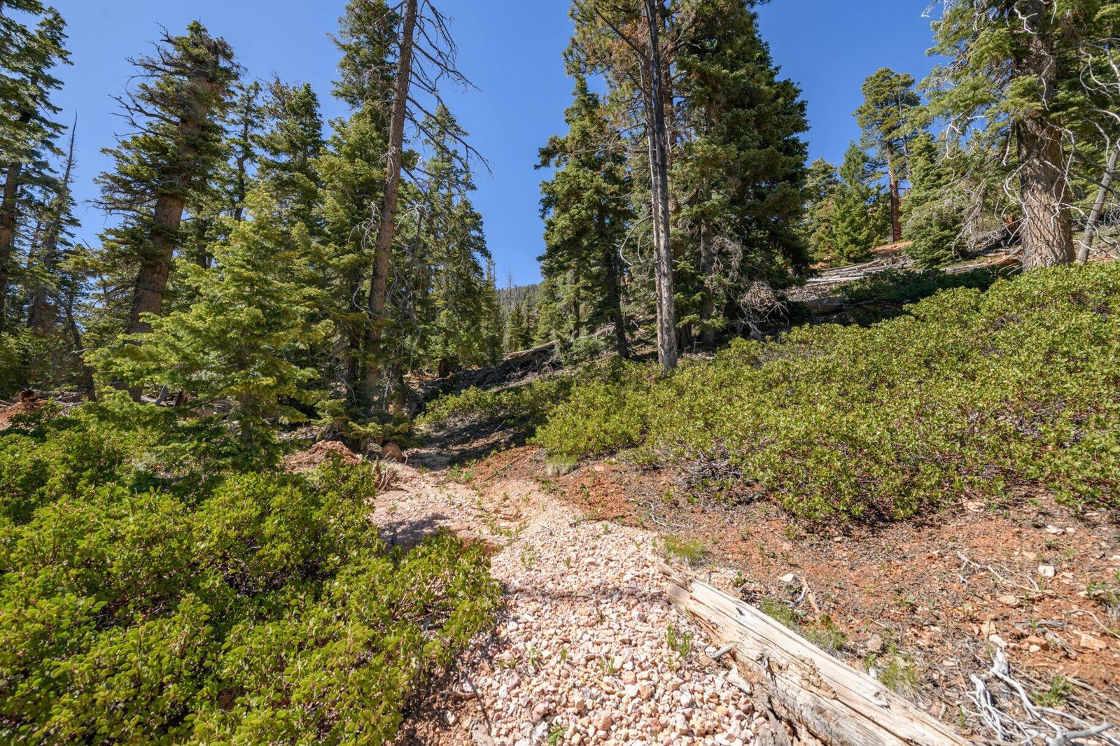 5150 W North Fork RD, Duck Creek Village, photo 76 of 149