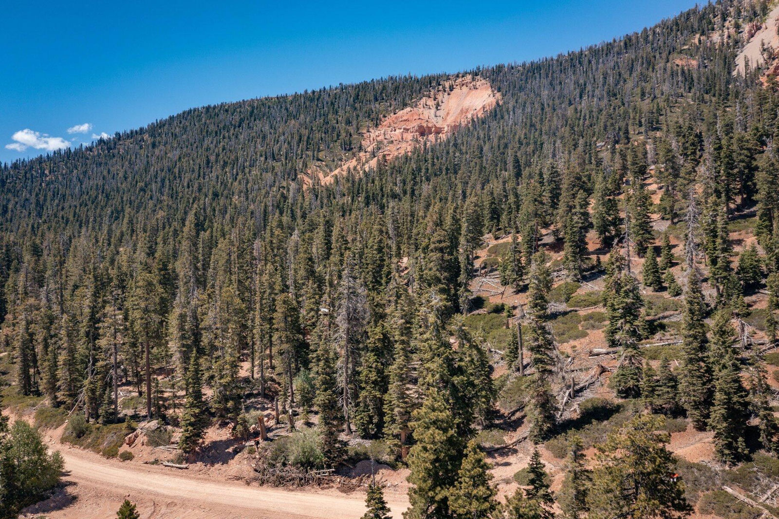 5150 W North Fork RD, Duck Creek Village, photo 90 of 149