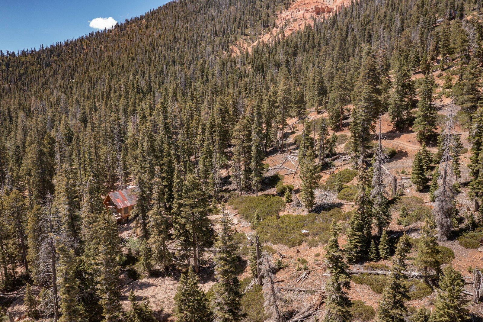 5150 W North Fork RD, Duck Creek Village, photo 95 of 149