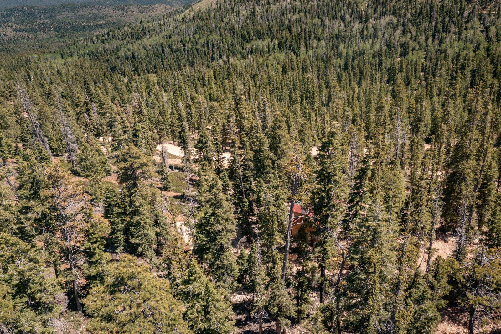 5150 W North Fork RD, Duck Creek Village, photo 106 of 149
