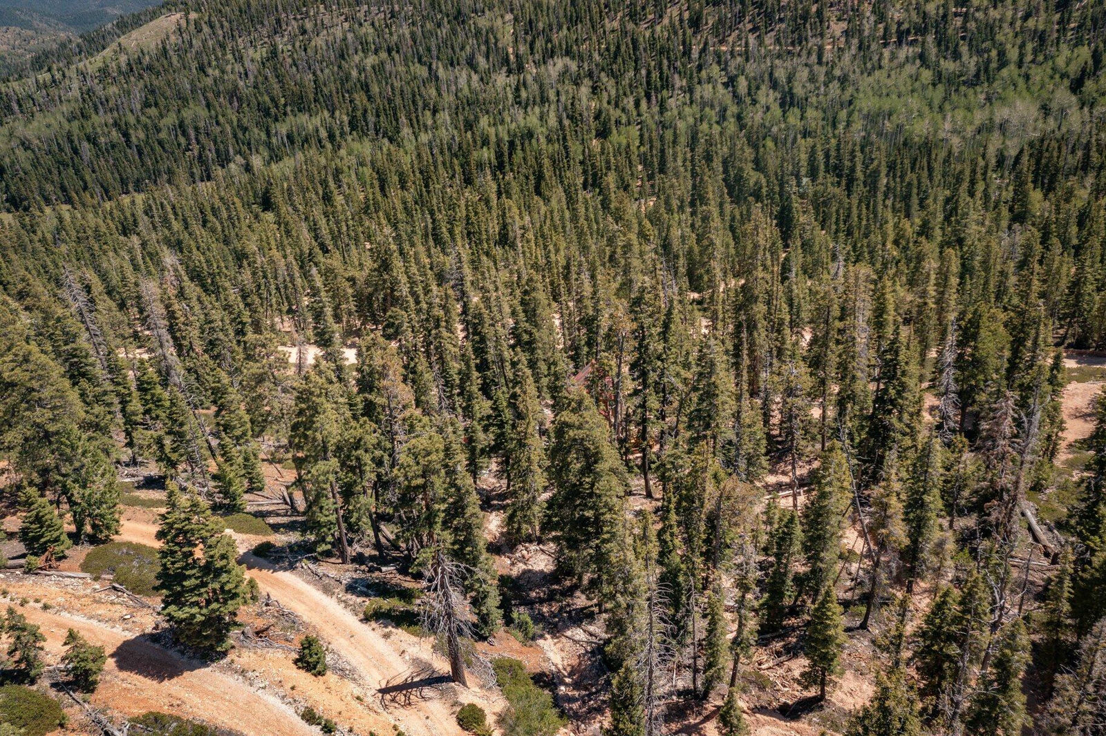 5150 W North Fork RD, Duck Creek Village, photo 109 of 149