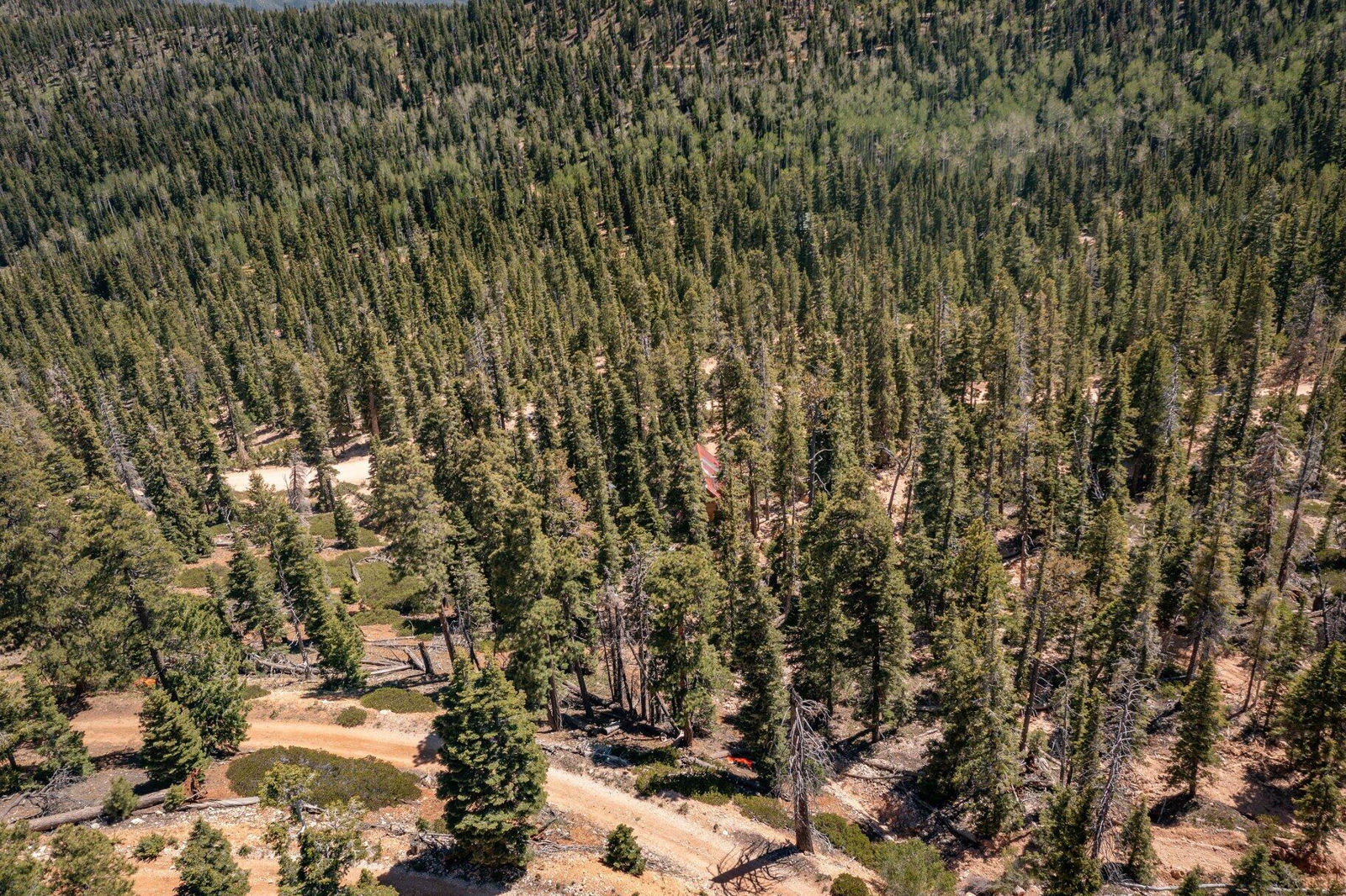 5150 W North Fork RD, Duck Creek Village, photo 110 of 149
