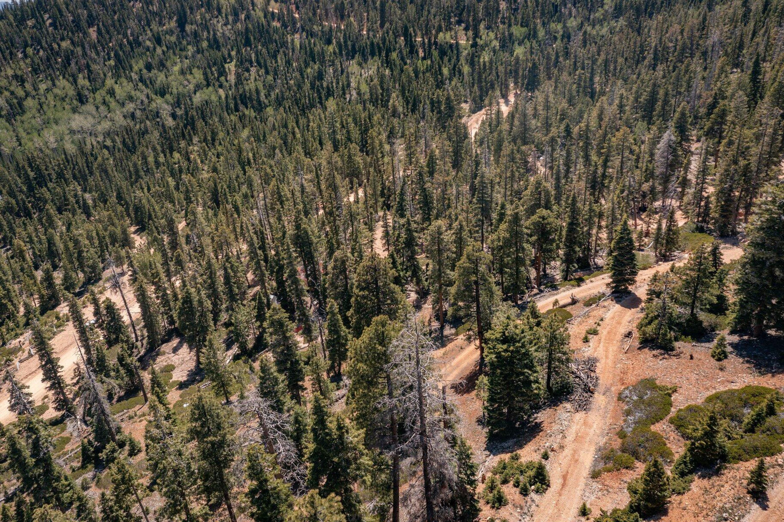 5150 W North Fork RD, Duck Creek Village, photo 113 of 149