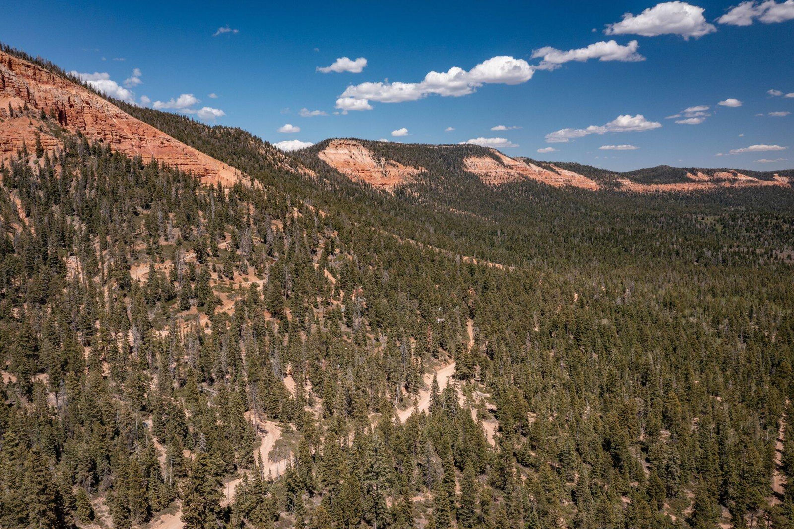 5150 W North Fork RD, Duck Creek Village, photo 130 of 149