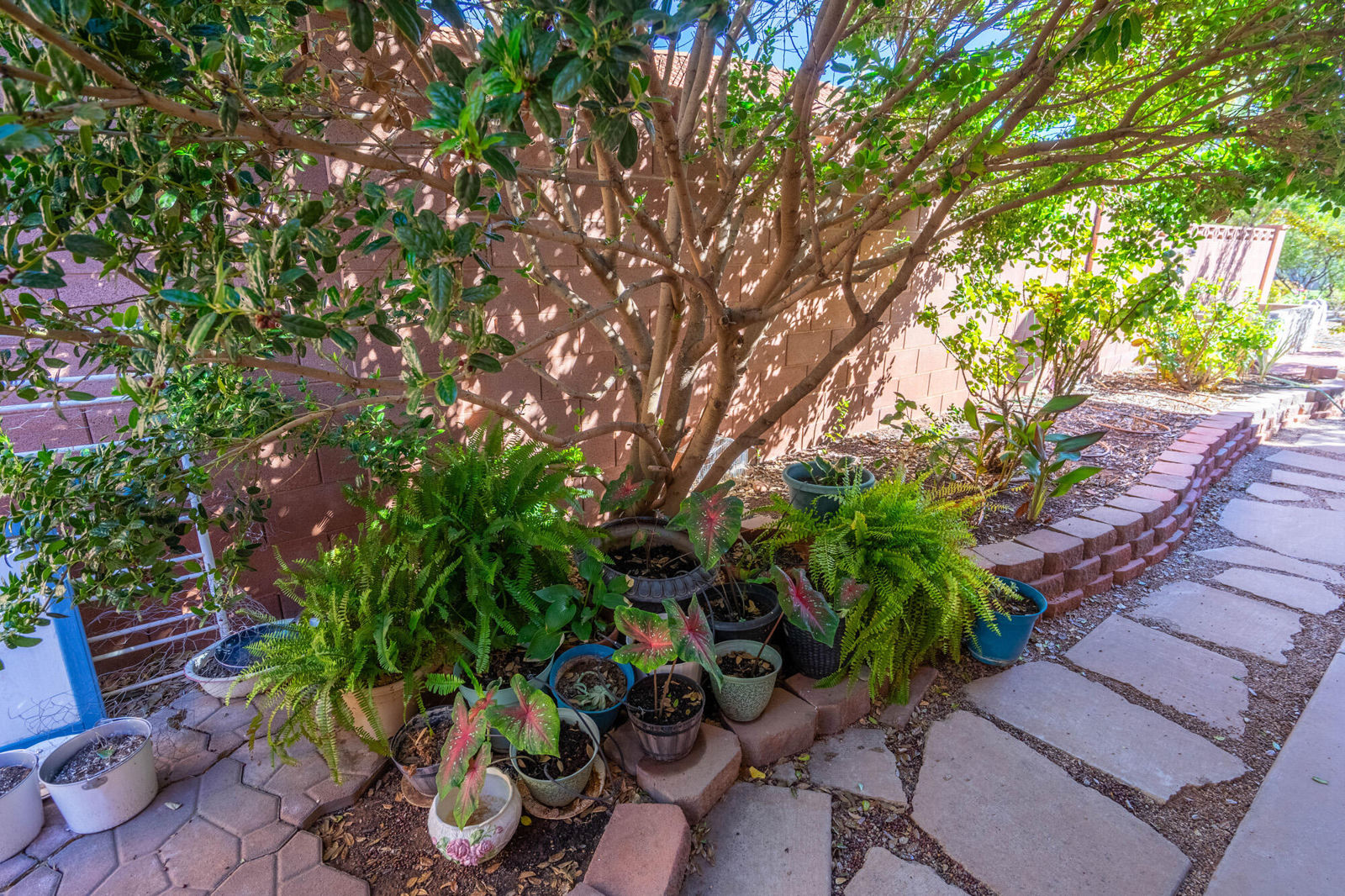 3450 Adobe DR, Santa Clara, photo 98 of 113