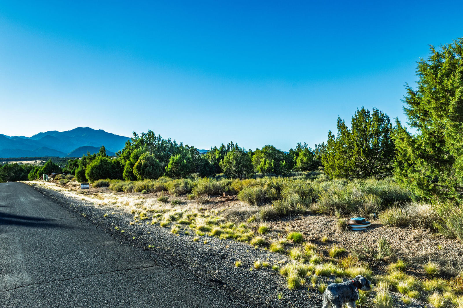 Lot 325 Escalante Path, New Harmony, photo 5 of 7