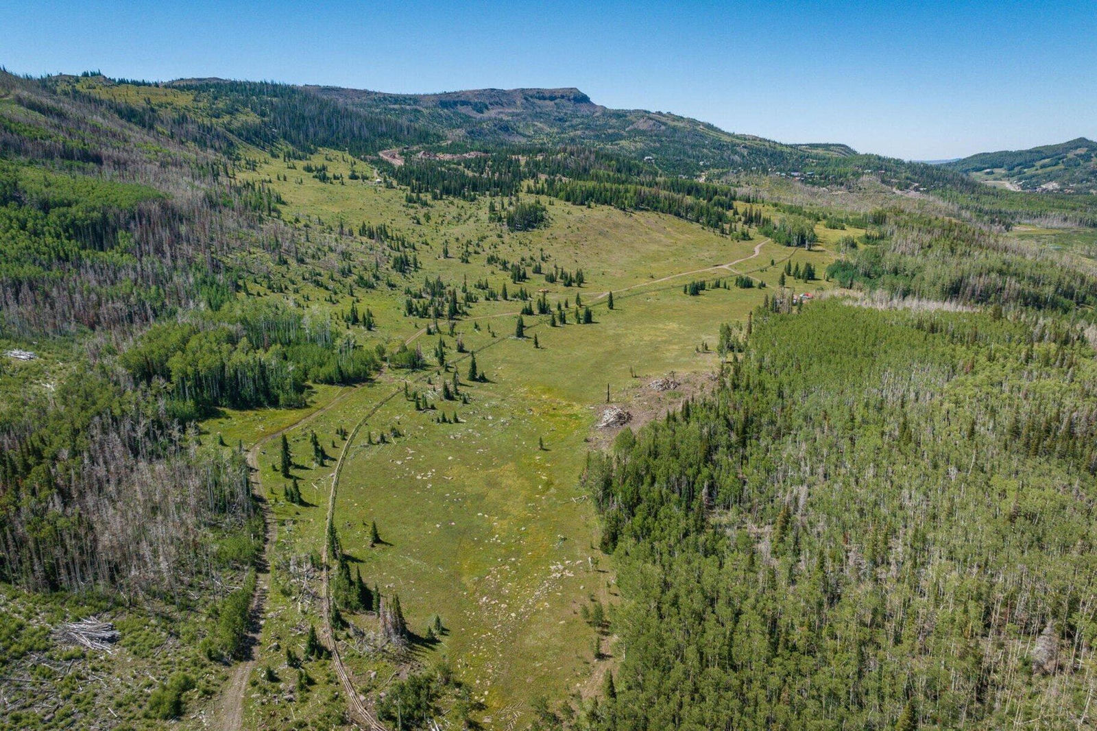 Lot 56 Steam Engine Drive, Aspen Meadows, Brian Head, photo 9 of 24
