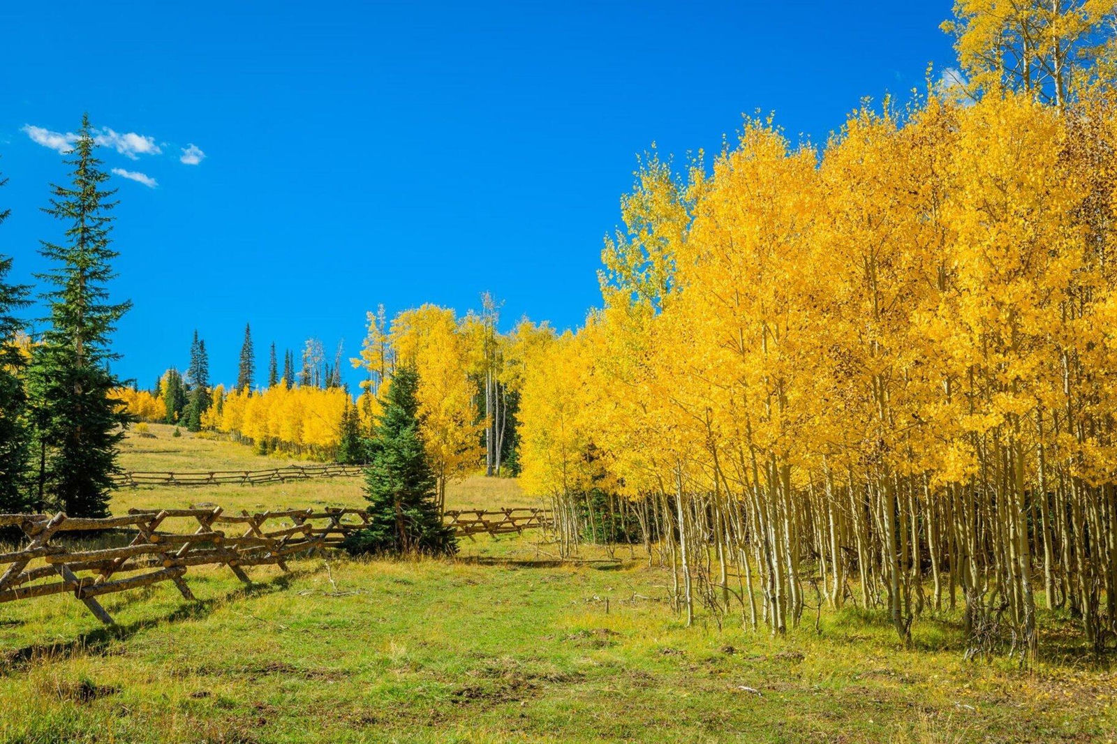 Lot 56 Steam Engine Drive, Aspen Meadows, Brian Head, photo 12 of 24