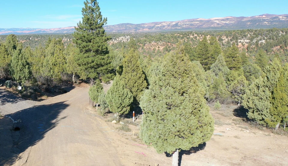 5.02 Acres W Francis ST, Duck Creek Village, photo 3