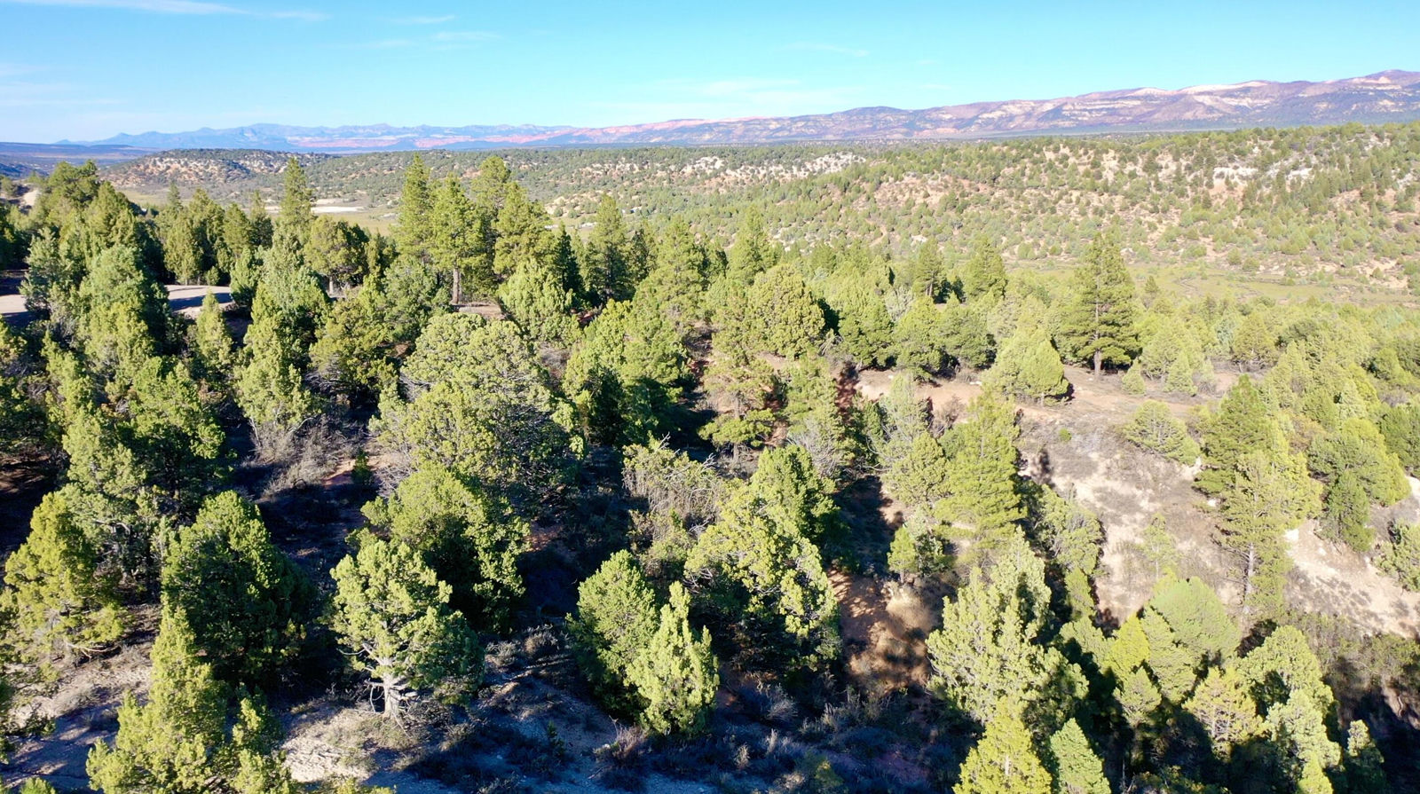 5.02 Acres W Francis ST, Duck Creek Village, photo 21 of 42