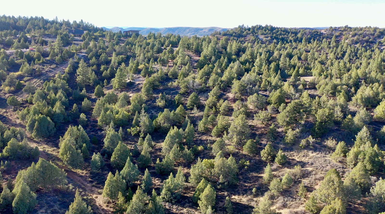 5.02 Acres W Francis ST, Duck Creek Village, photo 23 of 42